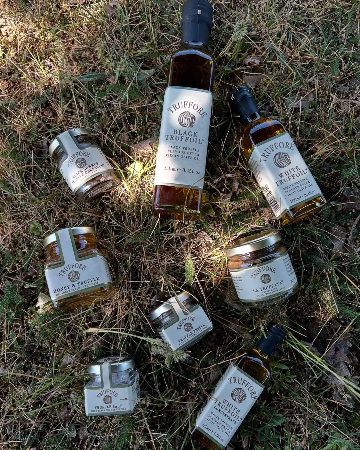 Get 15% OFF your first order!
Sign up on our website and enjoy Truffore goodness 🎉

From the earth to your table - our products are inspired by nature&rsquo;s underground treasure 🌱

#nature #naturegoodness #truffle #trufflelover #earthy #mothernat