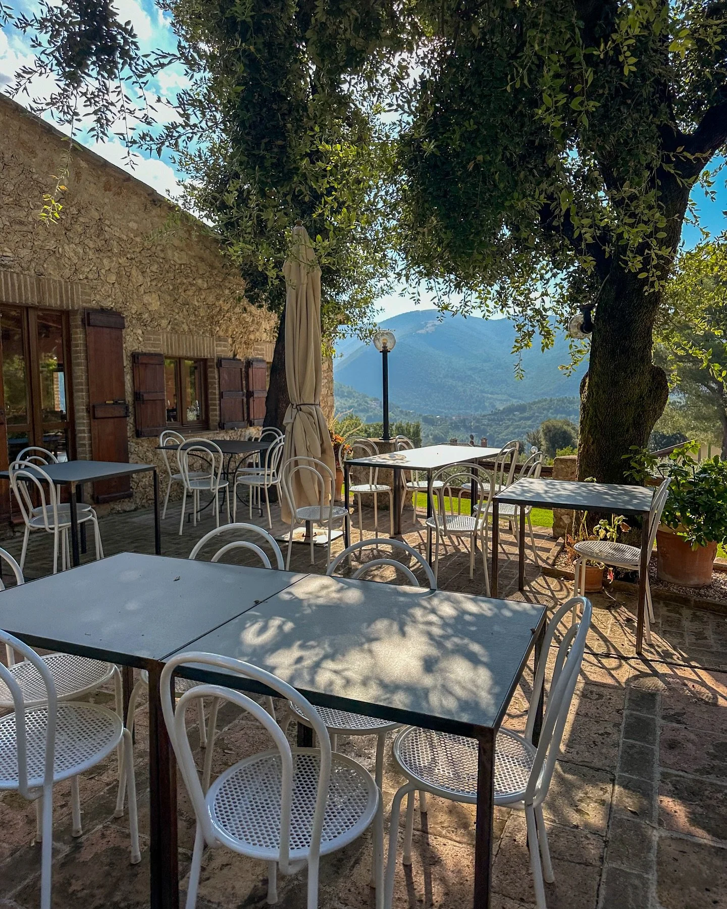 Golden truffles &amp; rustic charm.