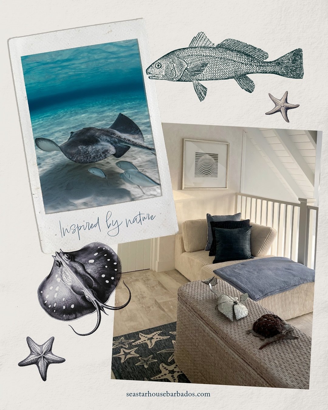 🐬🐟 Every element in our loft lounge at Seastar House has been thoughtfully chosen to strengthen your connection to Barbados&rsquo; natural beauty. The starfish rug, natural materials, and open design that welcomes the island breeze create a sanctua