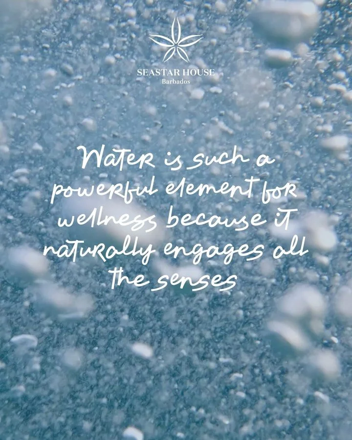 🌊Water &amp; The Senses 🌊
Water is such a powerful element for wellness because it naturally engages all the senses, grounds people in the present moment, and carries deep symbolism of renewal. 🌊

#waterandwellness #seastarhousebarbados #islandliv