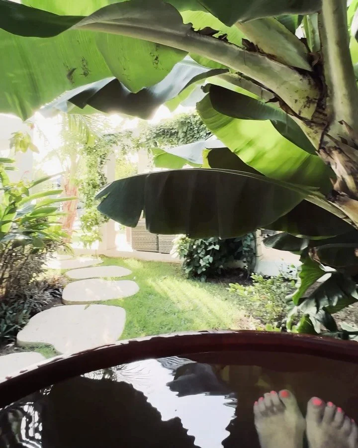 🌿💦Our custom cold plunge tub offers Caribbean-style contrast therapy&nbsp; that&rsquo;s both invigorating and restorative. 
🌿Set among lush banana plants, the refreshing cold plunge is a signature wellness feature at Seastar House.

🌿💦Health Ben