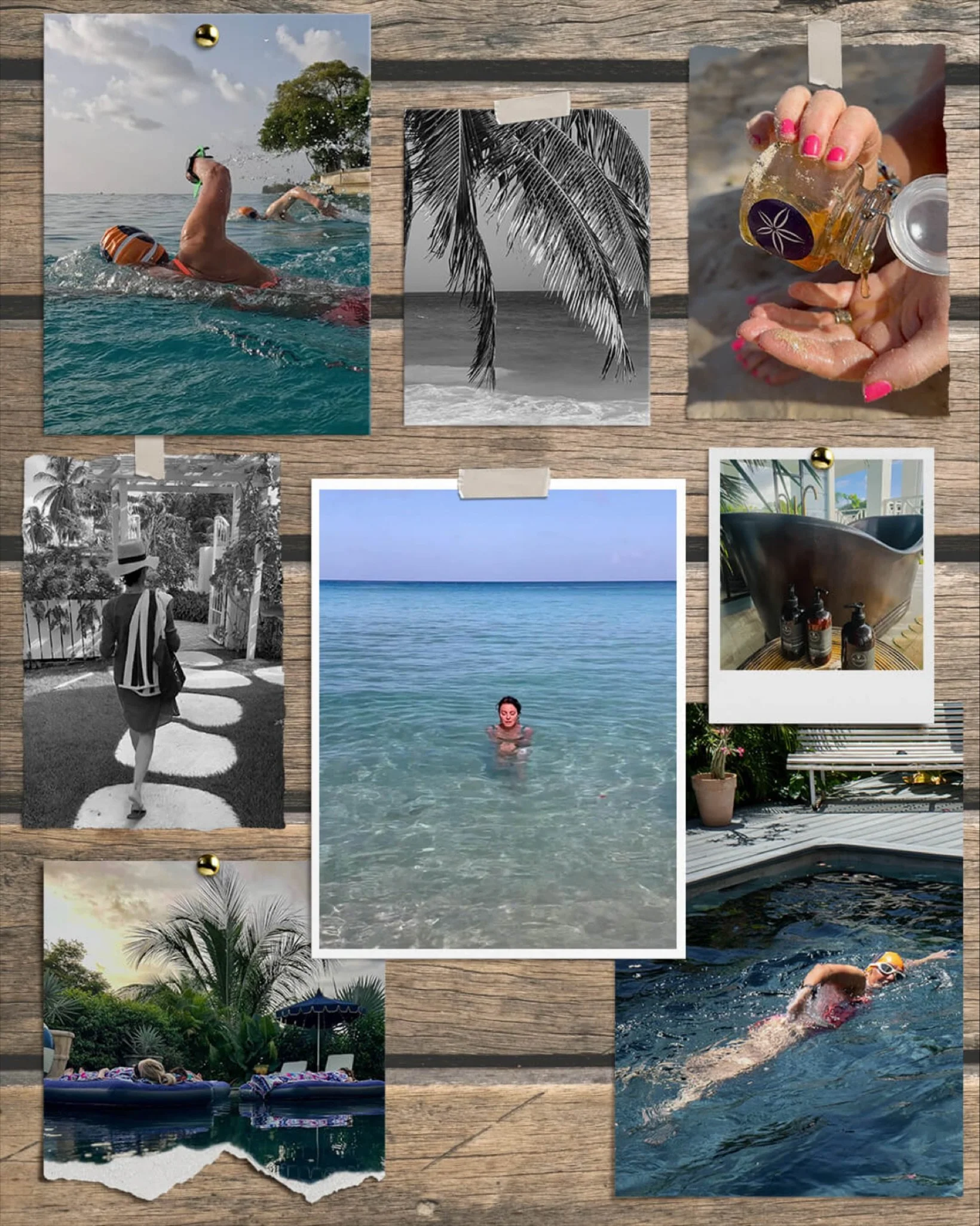 💙 Our monthly newsletter ~ the Noticeboard ~ goes out later today so if you haven&rsquo;t already subscribed then make sure you do so you don&rsquo;t miss out on the latest from Seastar House. 💙 See the link in bio.

#seastarhouse #barbados🇧🇧 #wa