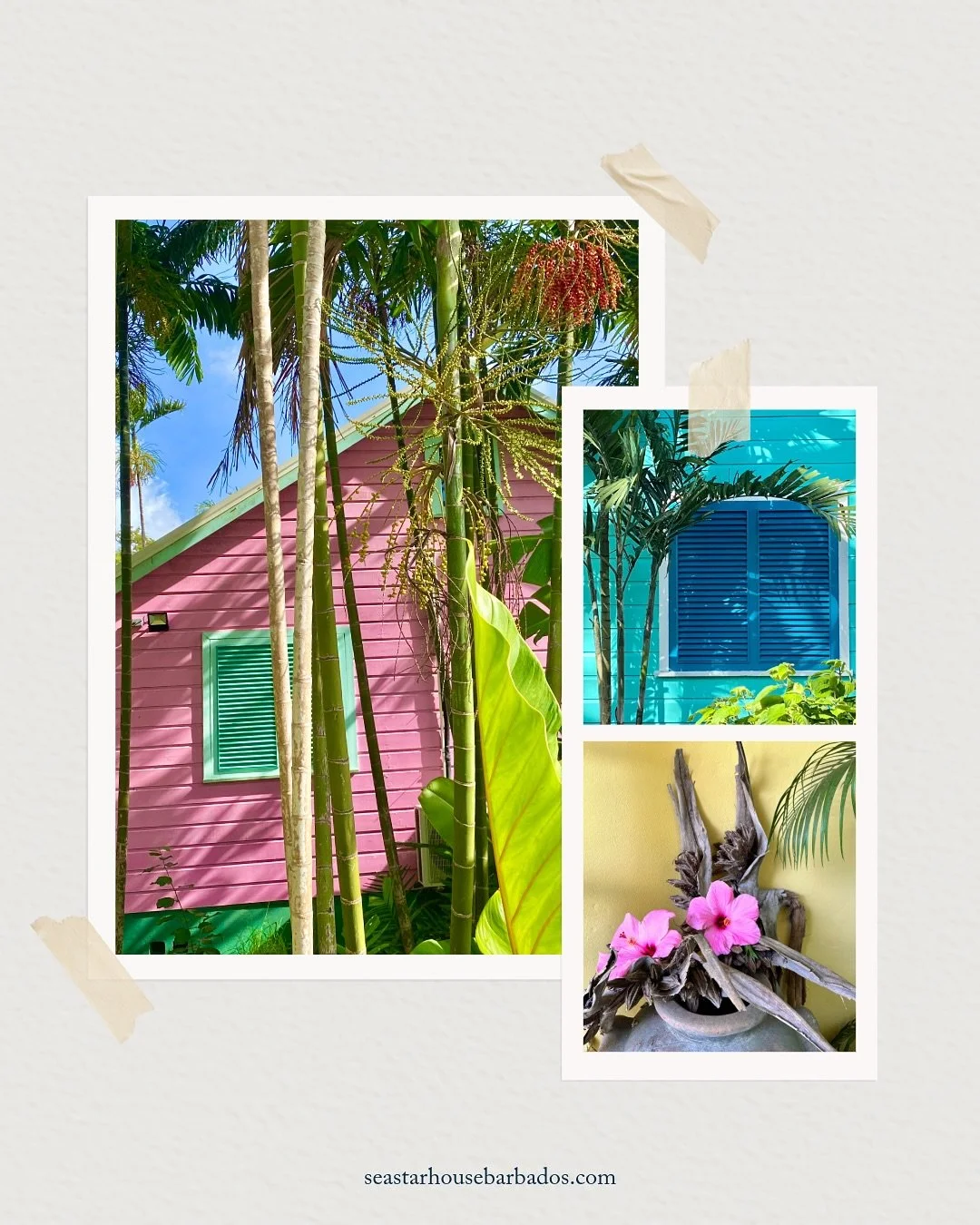 💛Moveable, colorful and full of character - chattel houses tell the story of Barbadian resilience and creativity 🩷 Coral pink walls, turquoise shutters, and hibiscus blooms - Barbados does color like nowhere else 💙

#LivingArt #DesignInspiration #