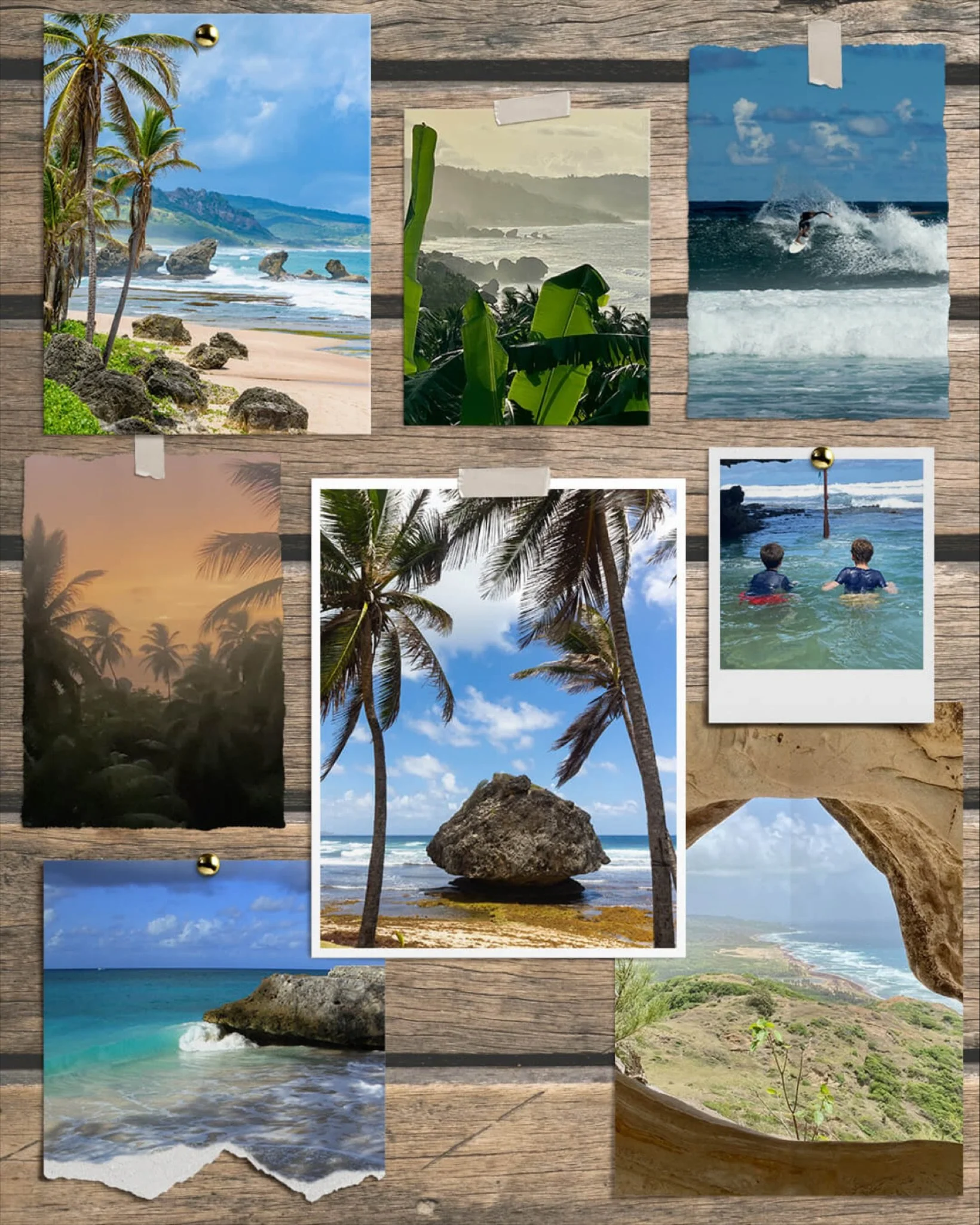 💙Our monthly newsletter ~ the Noticeboard ~ goes out later this week so if you haven&rsquo;t already subscribed then make sure you do, so you don&rsquo;t miss out on the latest from Seastar House.&nbsp; 💙 See the link in bio.

#seastarhousebarbados