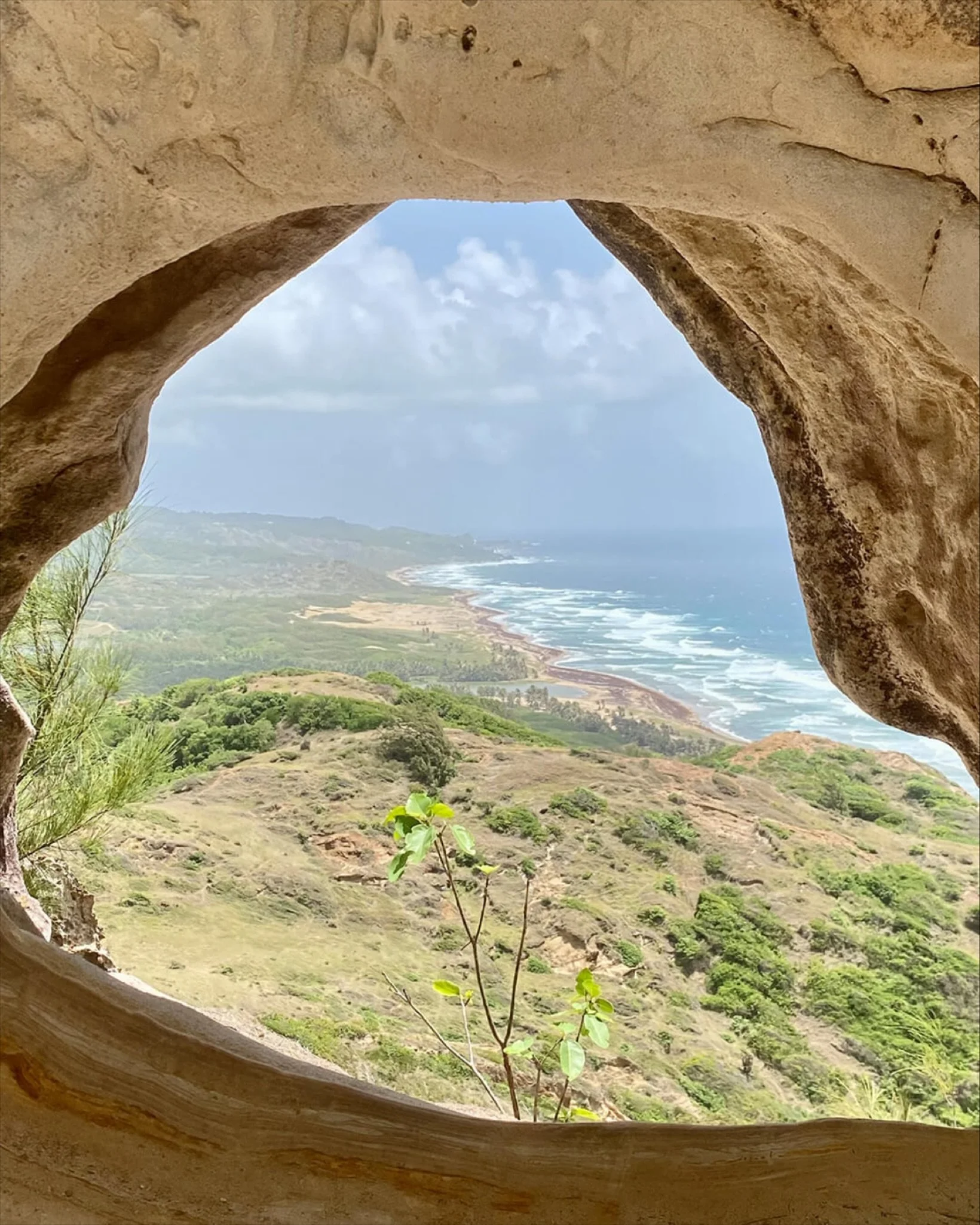 ⛰️The Scotland District, named for its resemblance to the Scottish Highlands, is a geological anomaly - a landscape of rolling hills and deep ravines unlike anywhere else in Barbados.&nbsp;

⛰️ Chalky Mount, the district&rsquo;s highest point, offers