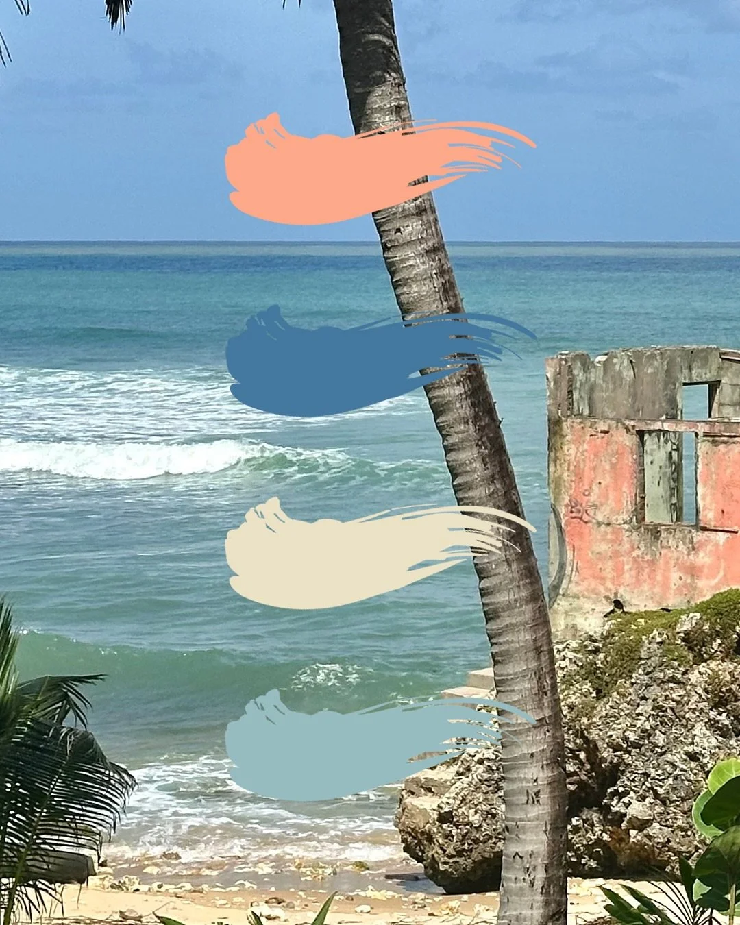 🎨 The rugged east coast giving us ALL the inspiration - from weathered coral walls to Atlantic blues and sandy neutrals. Sometimes the best design lesson is just to look at what nature&rsquo;s been perfecting for millennia. 🌊🌴

#barbadoseastcoast 