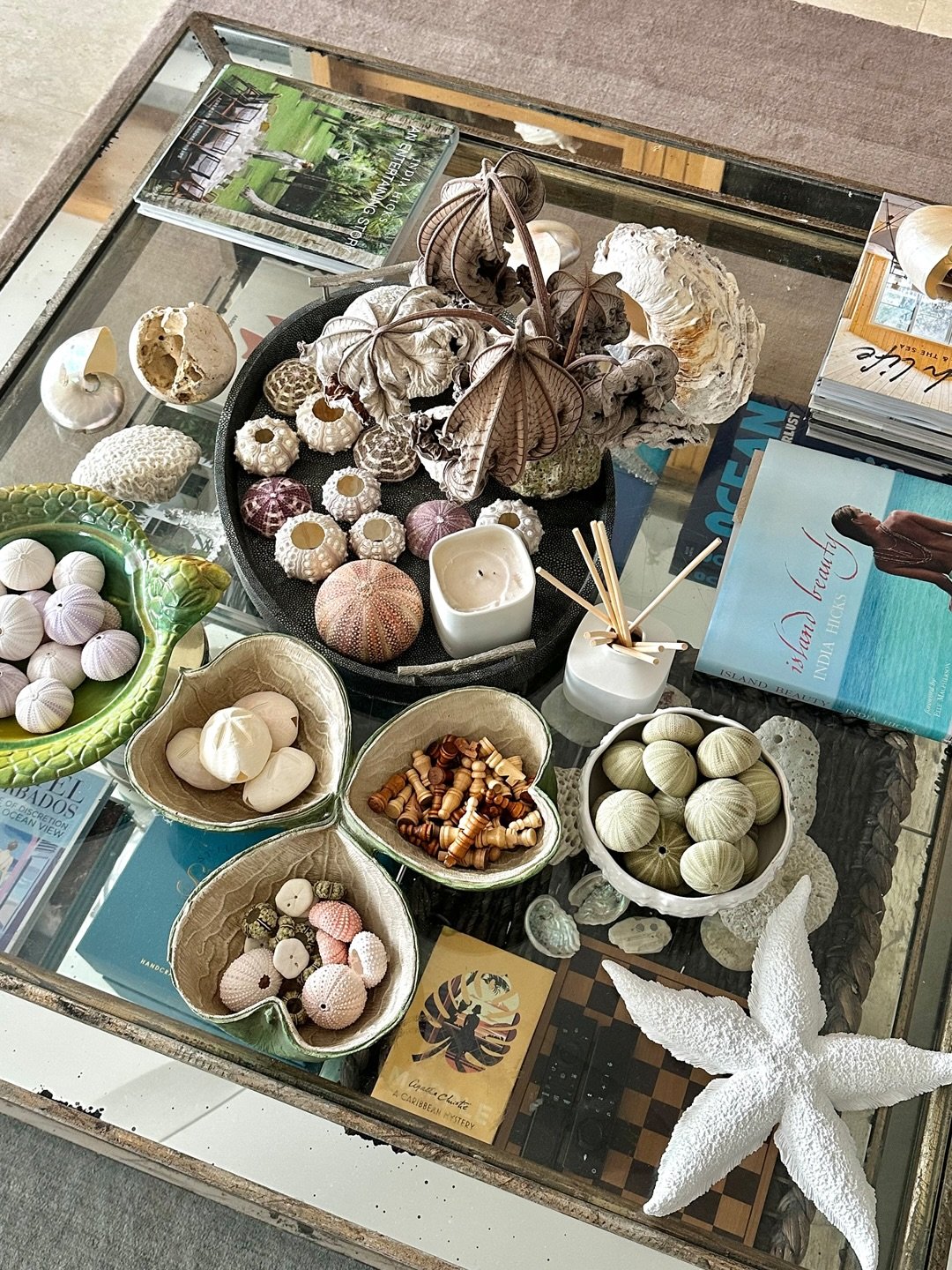 🐚🪸Celebrating the natural beauty of our beaches, one collected treasure at a time

#BarbadosLiving #SeastarHouse #IslandLife #biophilicdesign