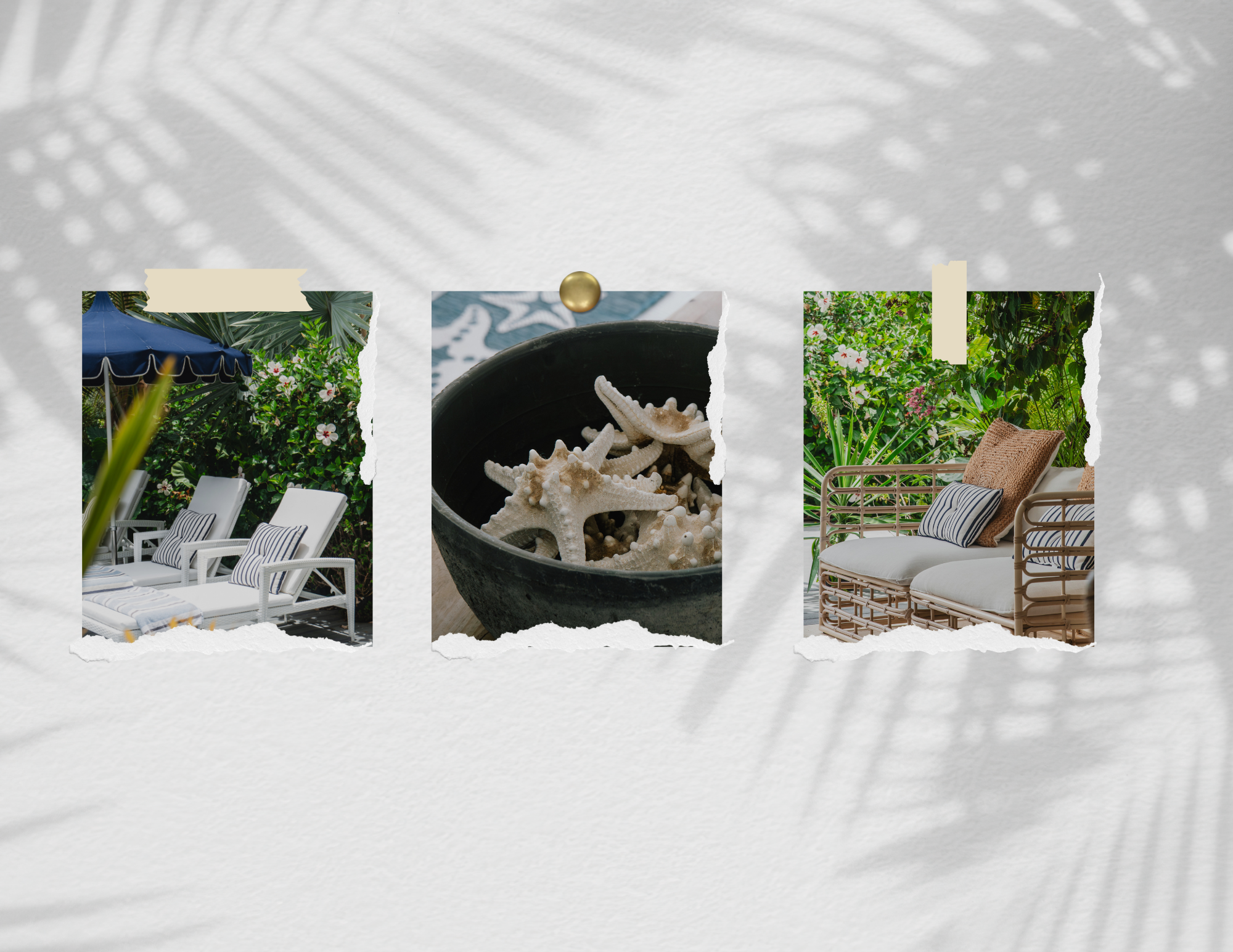 Seastar House: The house that holds you.