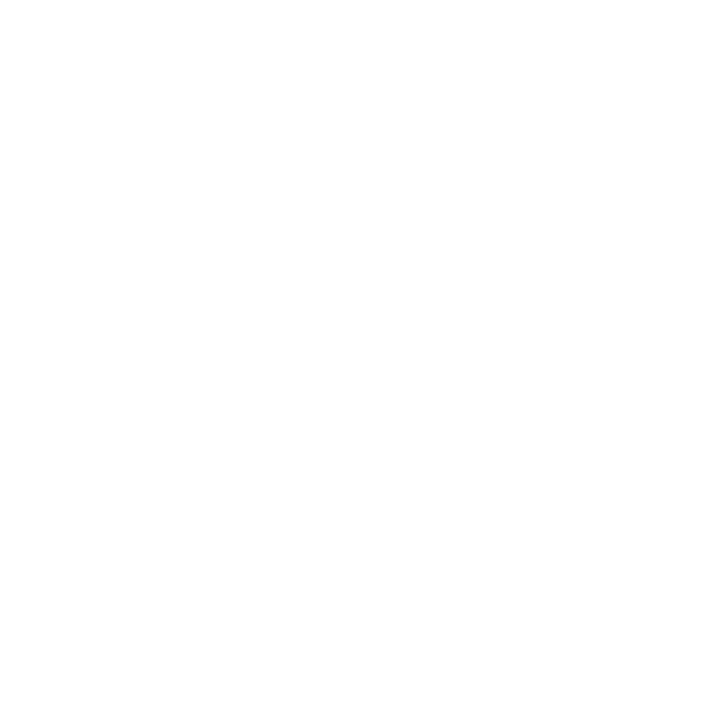 butterfly labs