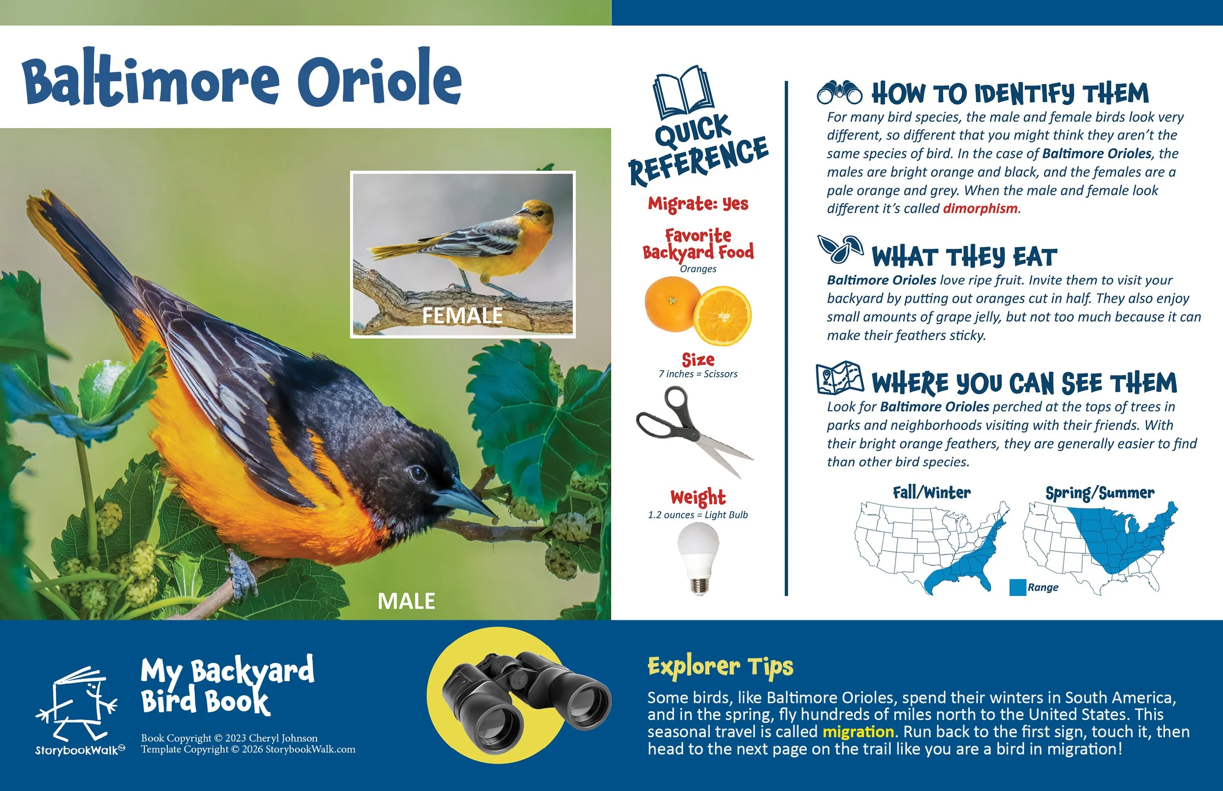 SBW_Backyard Bird Book_1117_Fin7.jpg