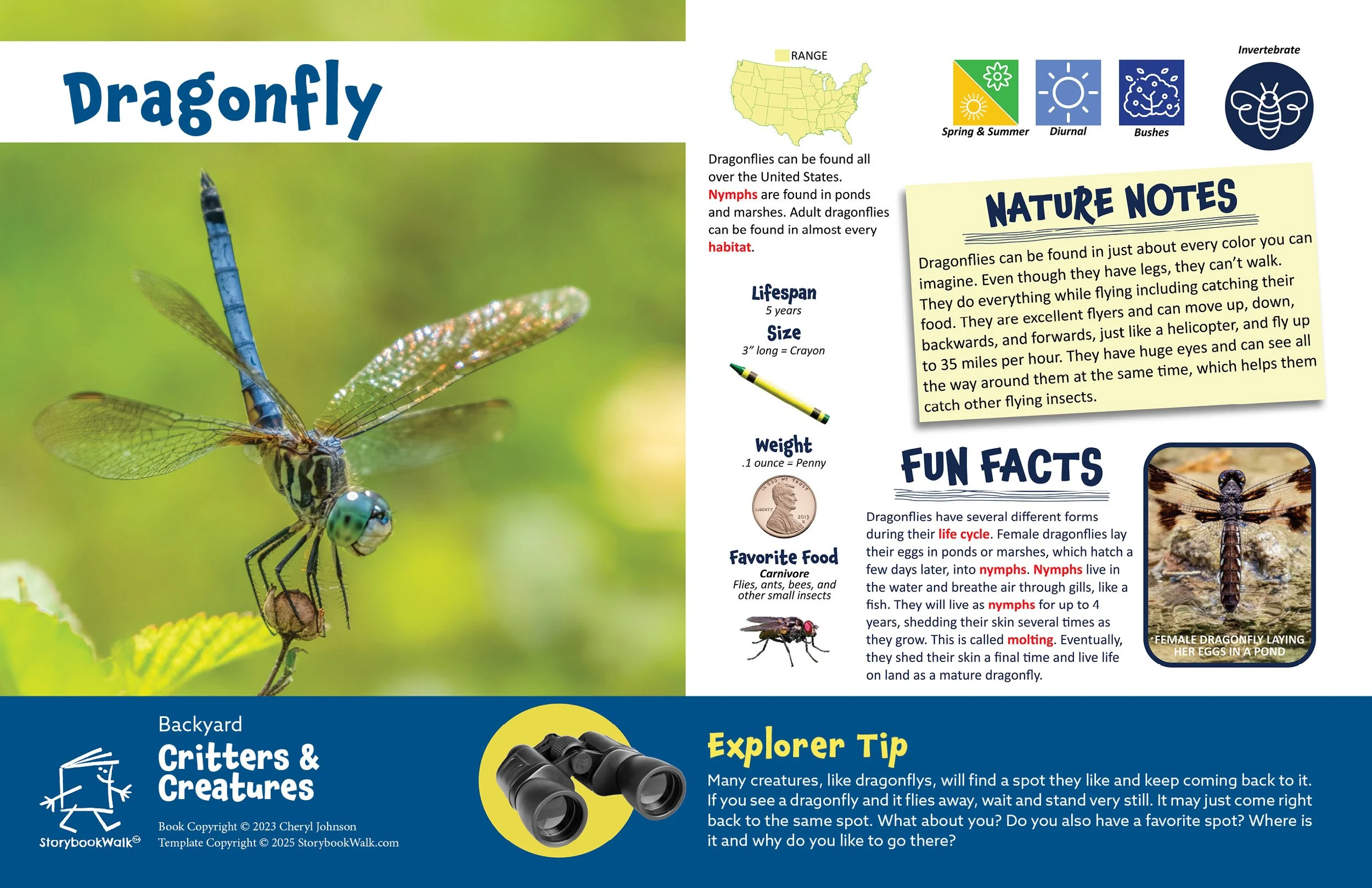 SBW_Backyard Critters_1117_Fin pages25.jpg