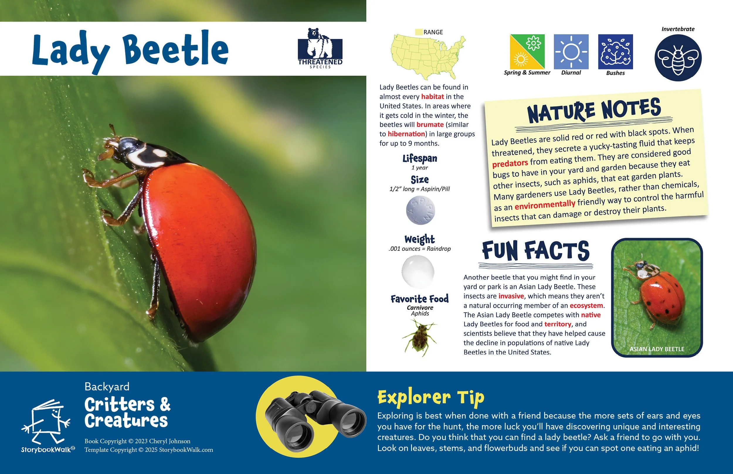 SBW_Backyard Critters_1117_Fin pages12.jpg