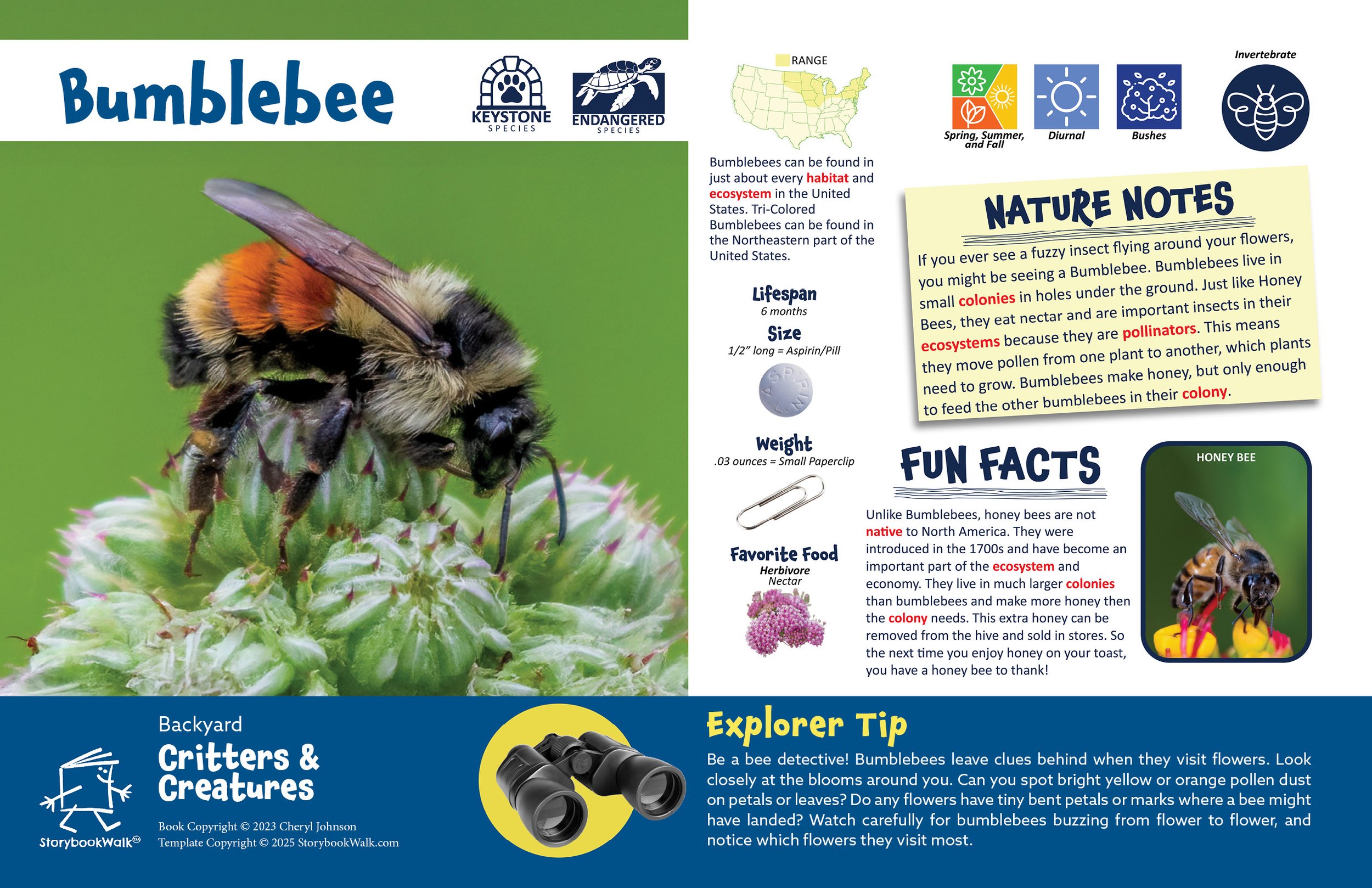 SBW_Backyard Critters_1117_Fin pages15.jpg