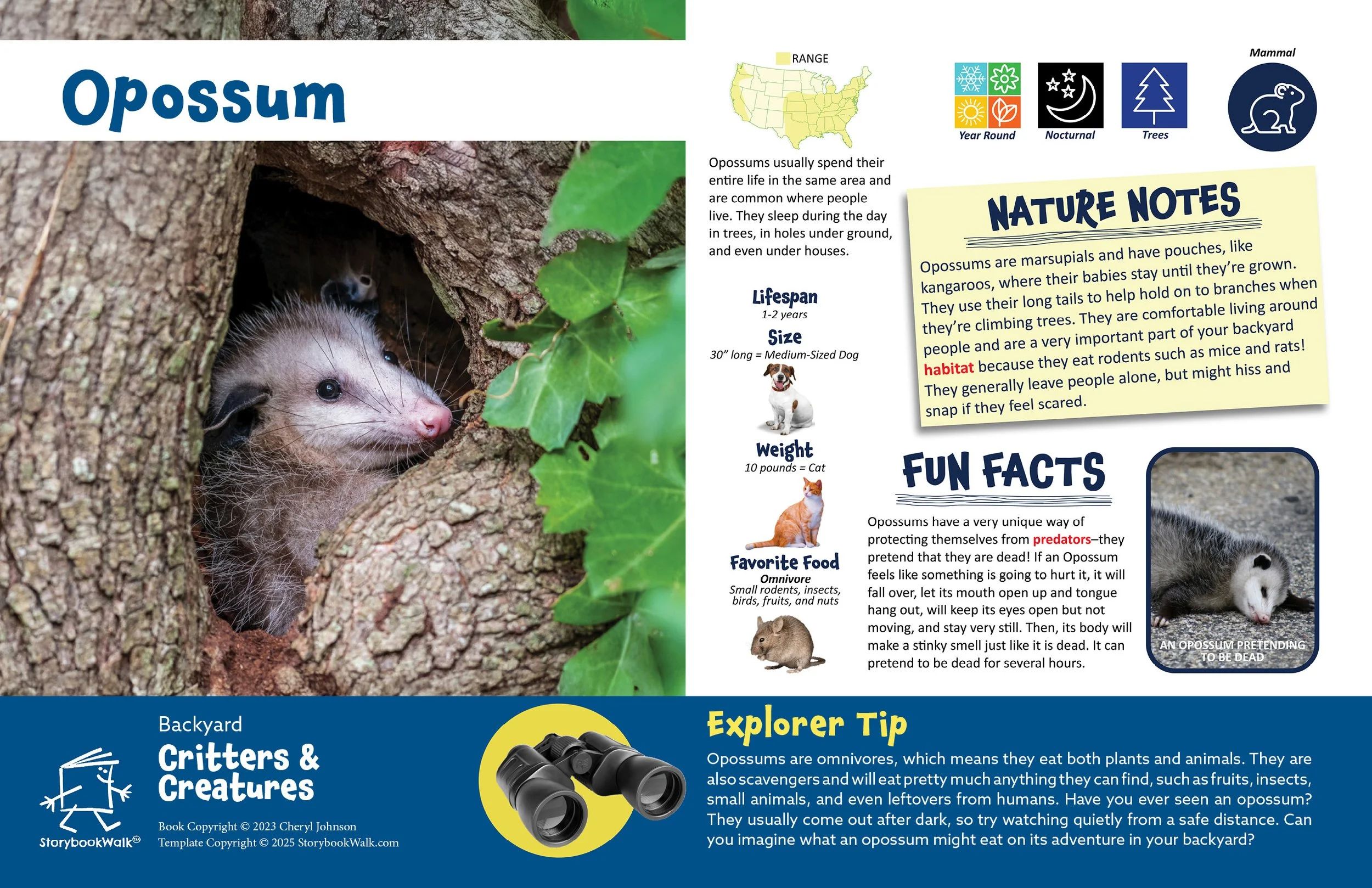 SBW_Backyard Critters_1117_Fin pages26.jpg