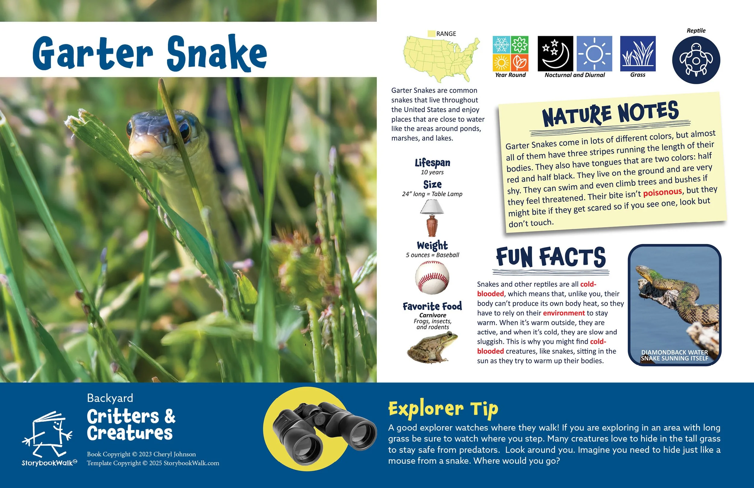 SBW_Backyard Critters_1117_Fin pages13.jpg