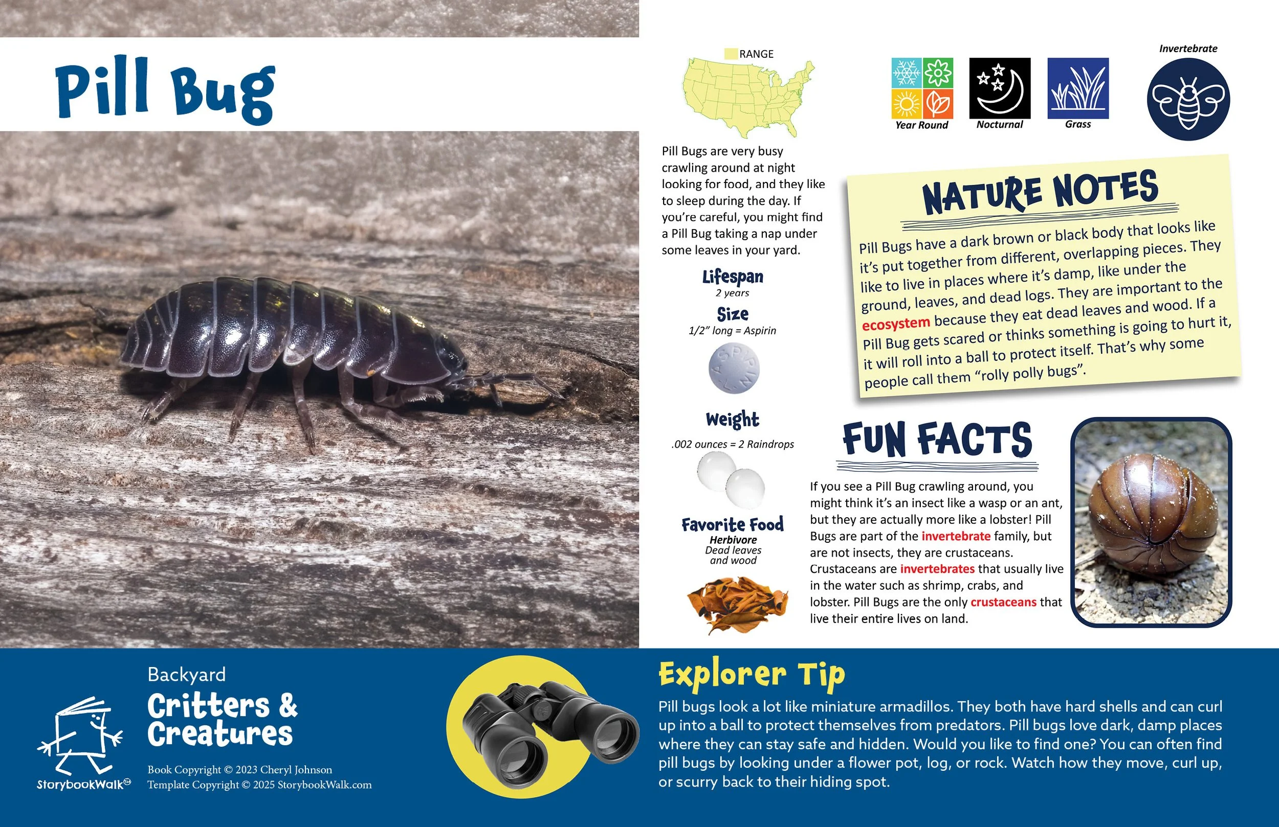 SBW_Backyard Critters_1117_Fin pages23.jpg