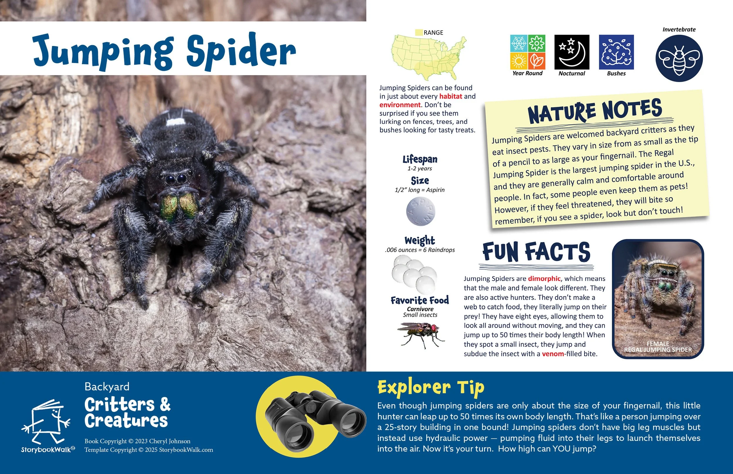 SBW_Backyard Critters_1117_Fin pages20.jpg