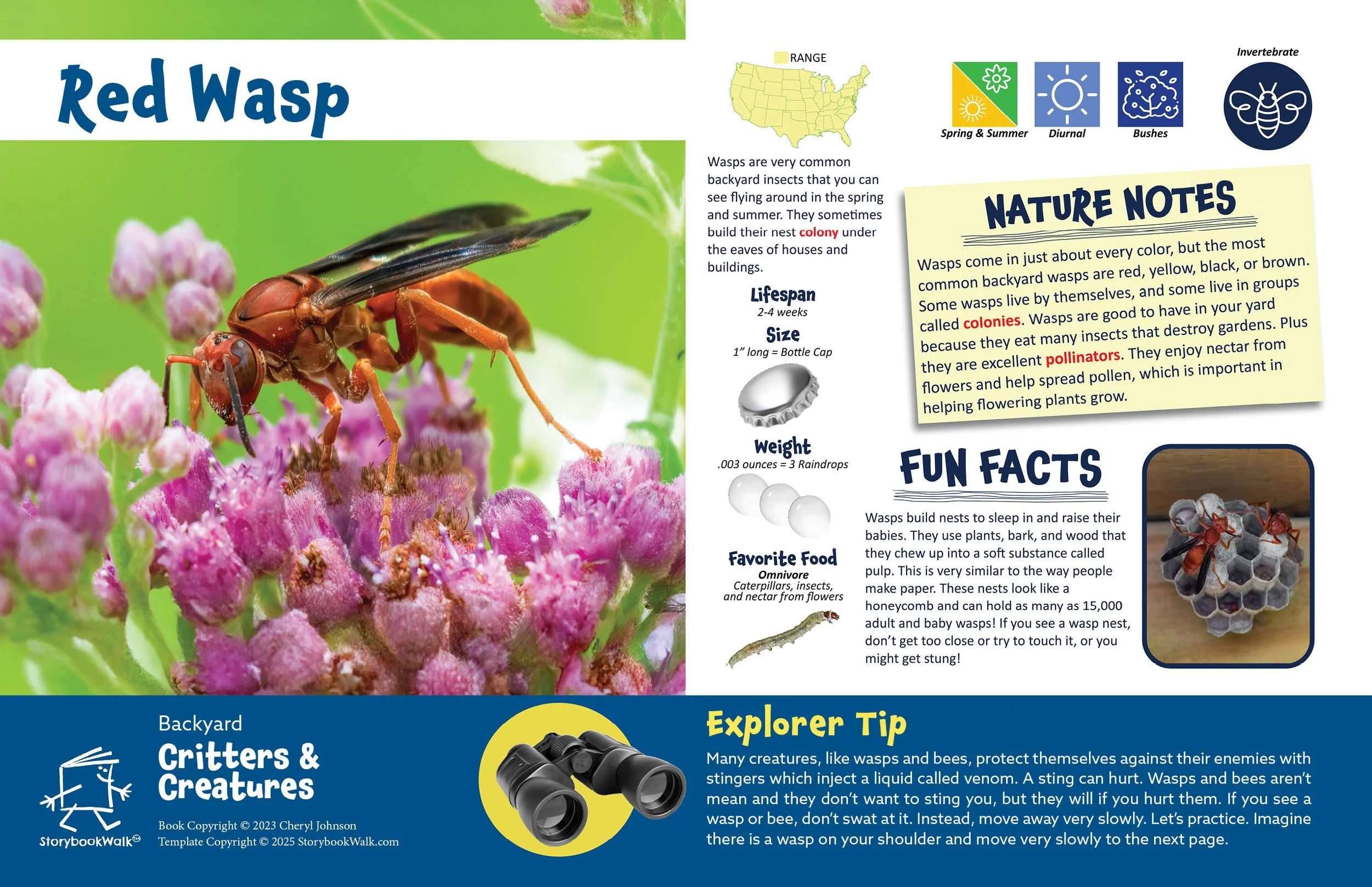 SBW_Backyard Critters_1117_Fin pages10.jpg