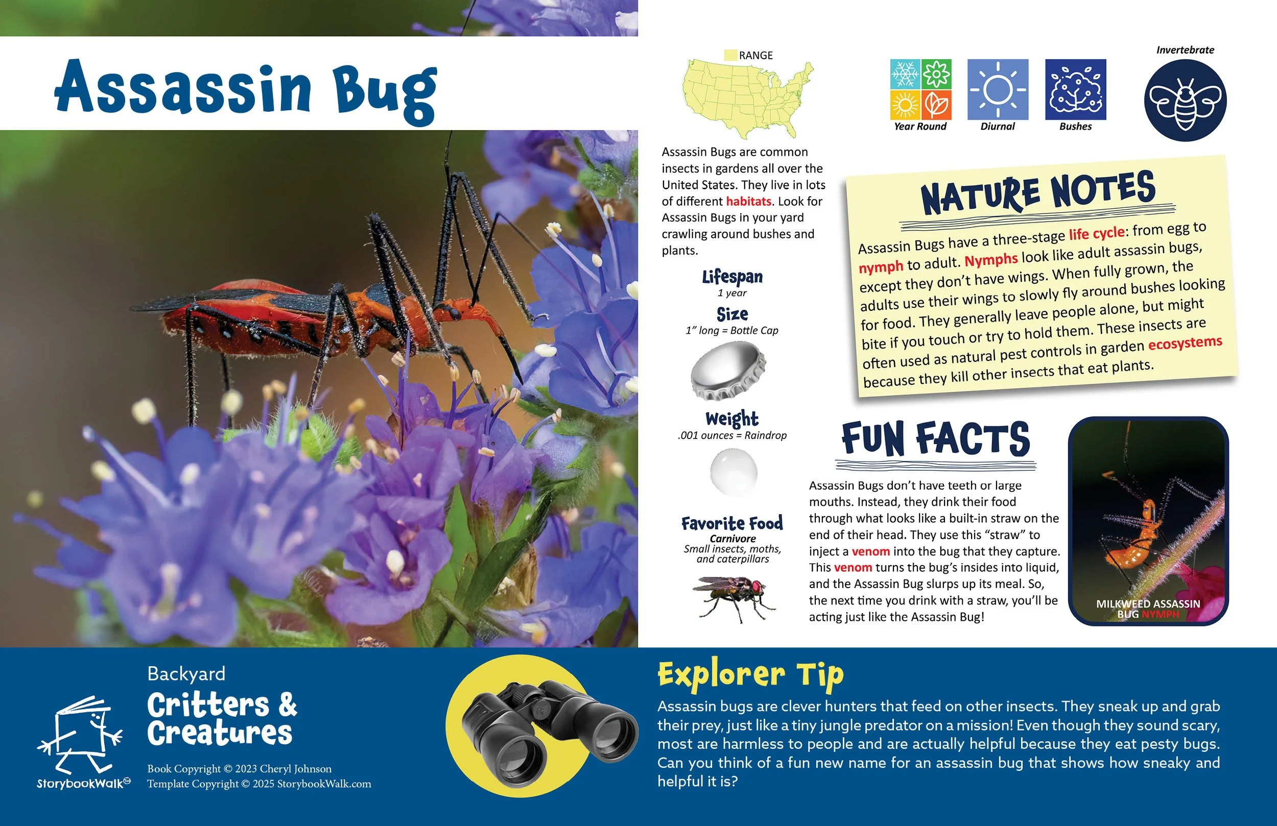 SBW_Backyard Critters_1117_Fin pages18.jpg