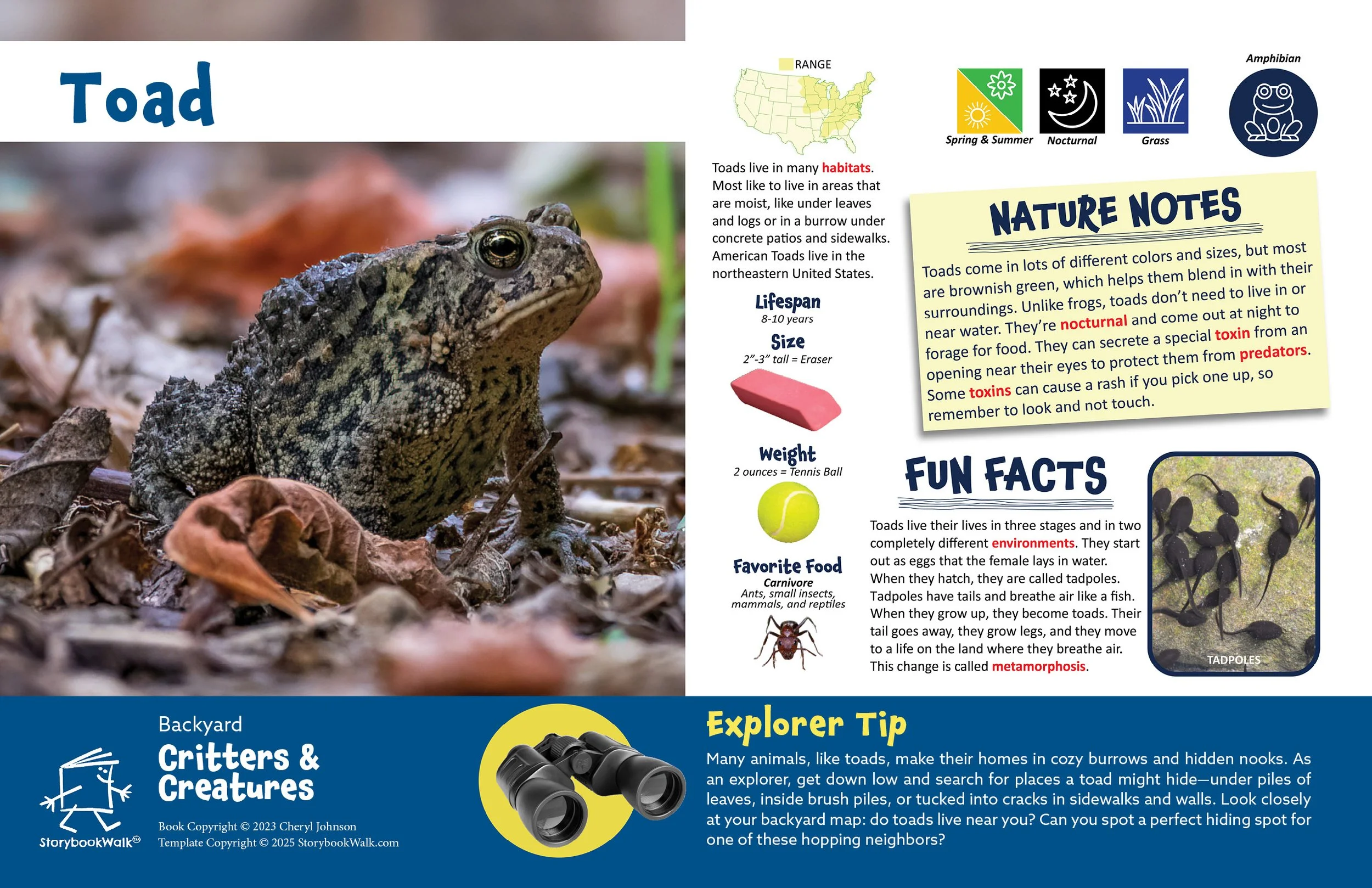 SBW_Backyard Critters_1117_Fin pages16.jpg