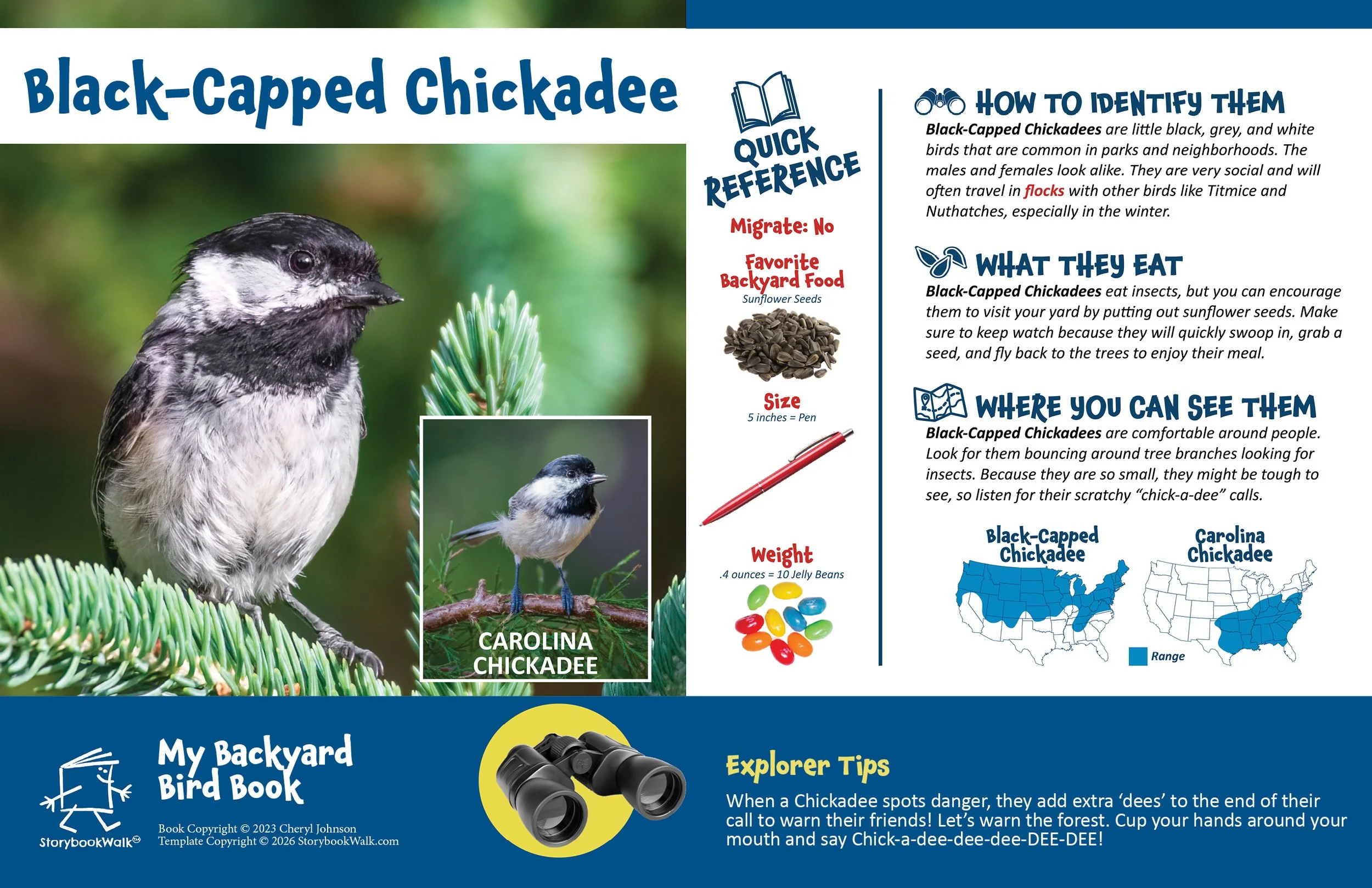 SBW_Backyard Bird Book_1117_Fin9.jpg