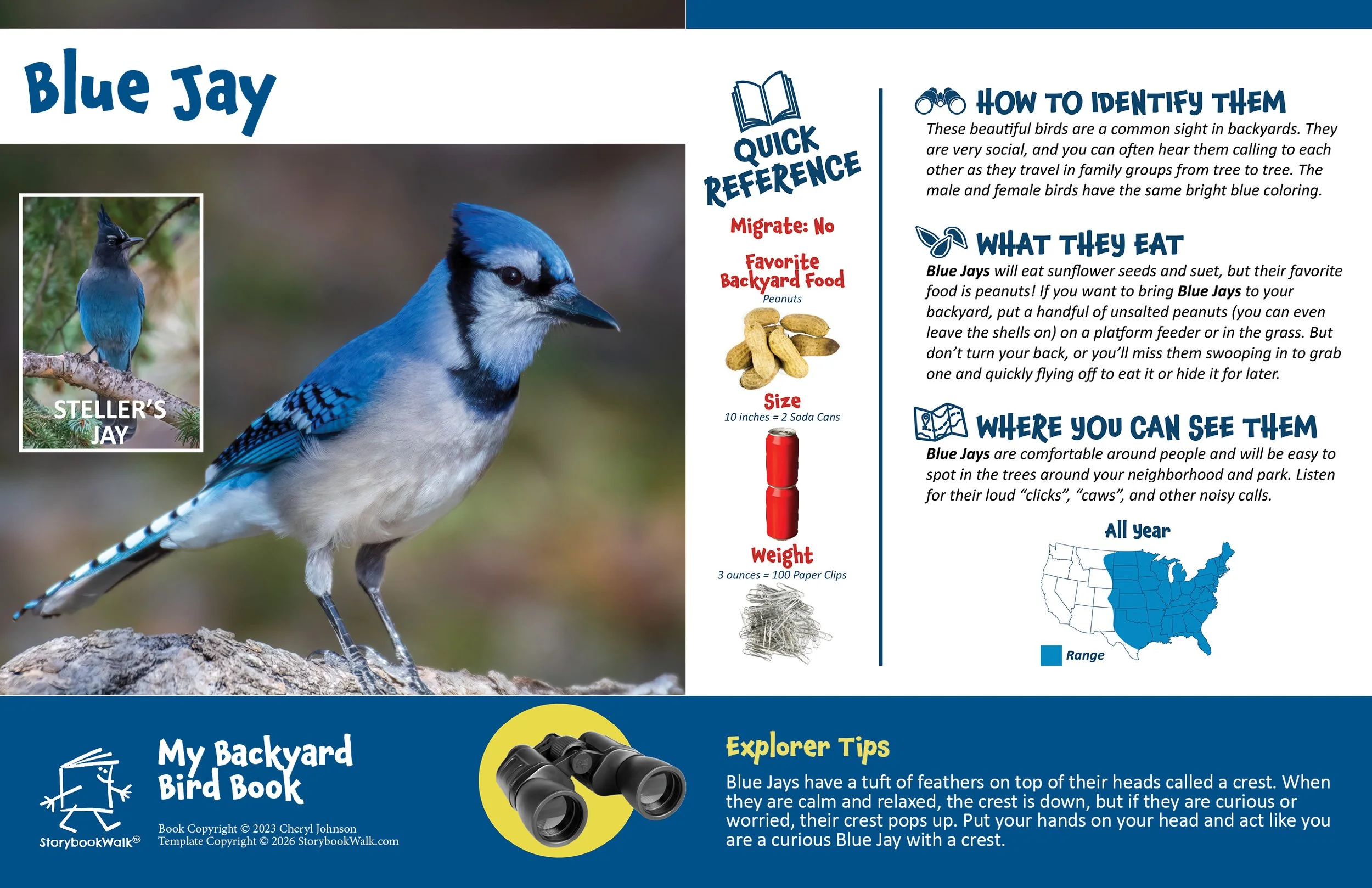 SBW_Backyard Bird Book_1117_Fin8.jpg