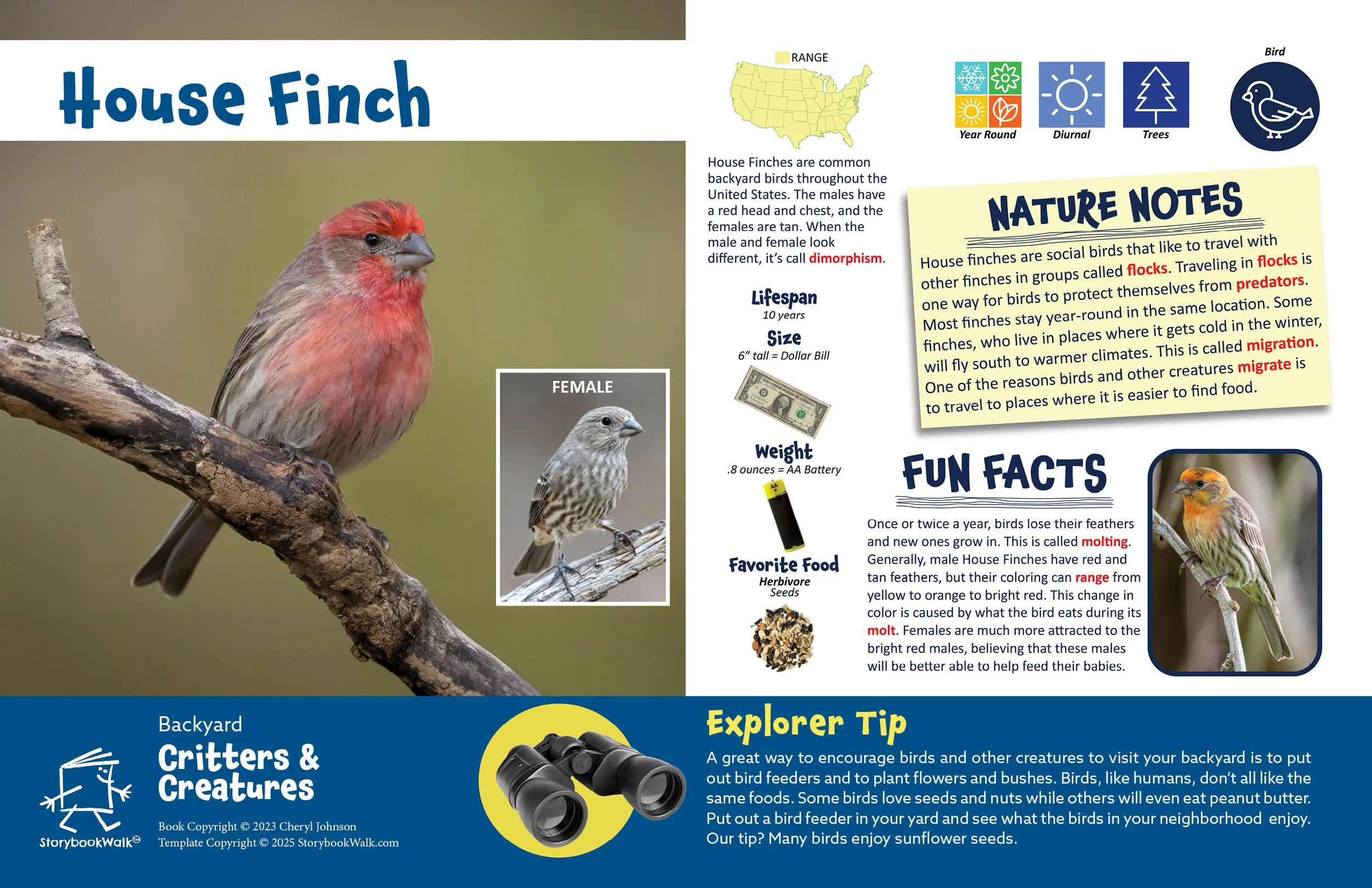 SBW_Backyard Critters_1117_Fin pages19.jpg