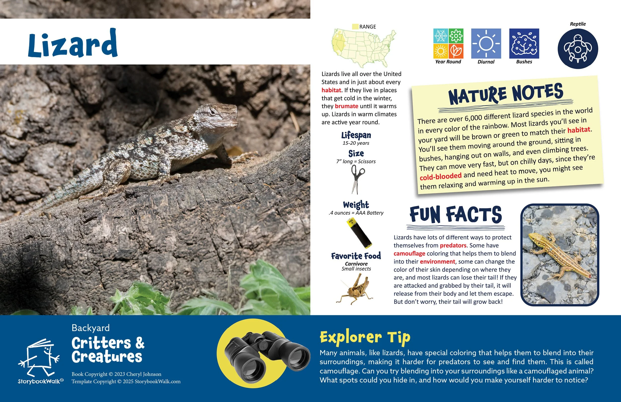 SBW_Backyard Critters_1117_Fin pages22.jpg