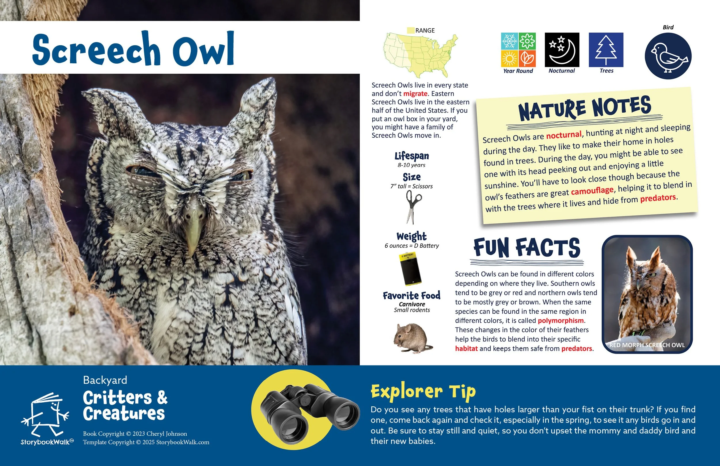 SBW_Backyard Critters_1117_Fin pages9.jpg