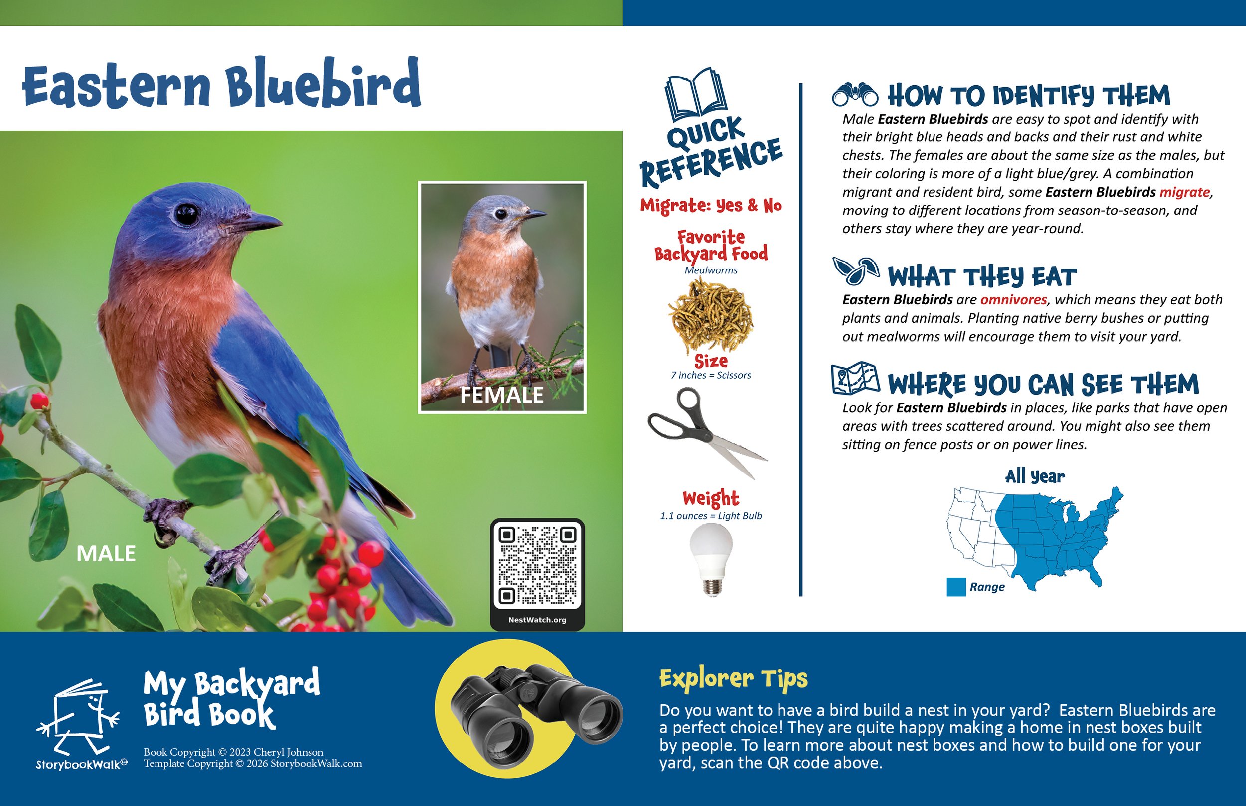 A page from the Storybook Walk Edition of My Backyard Bird Book