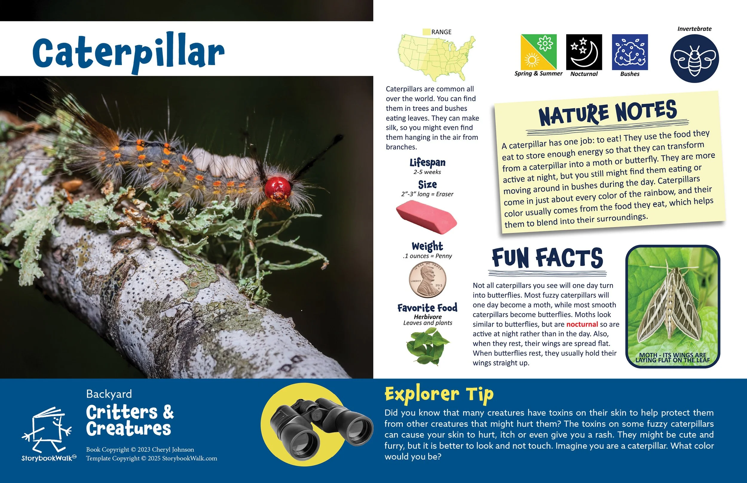 SBW_Backyard Critters_1117_Fin pages14.jpg