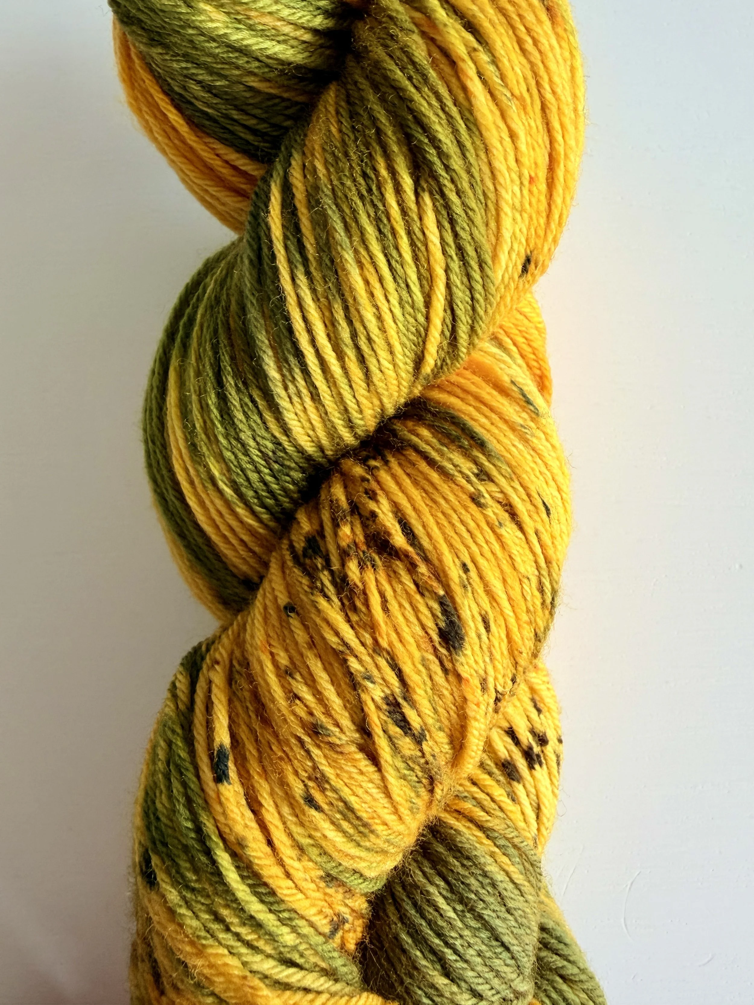 IMG_3686.JPG