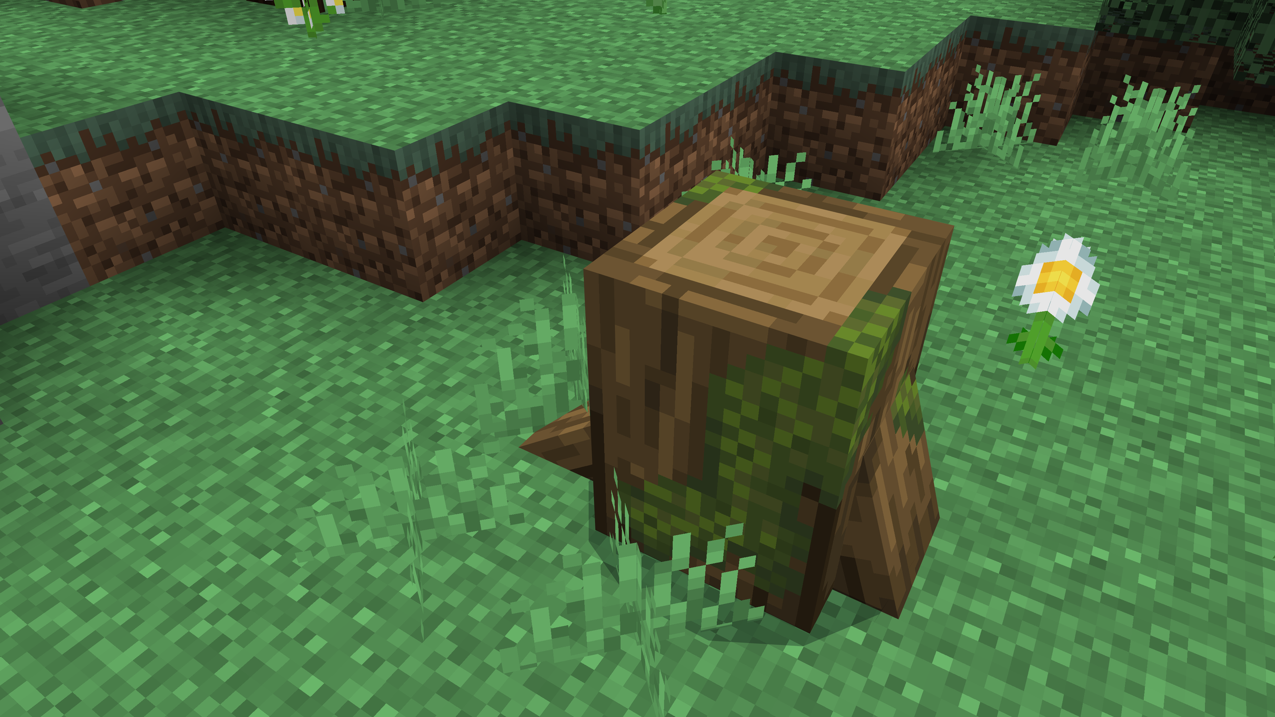 Acorn Stump.png