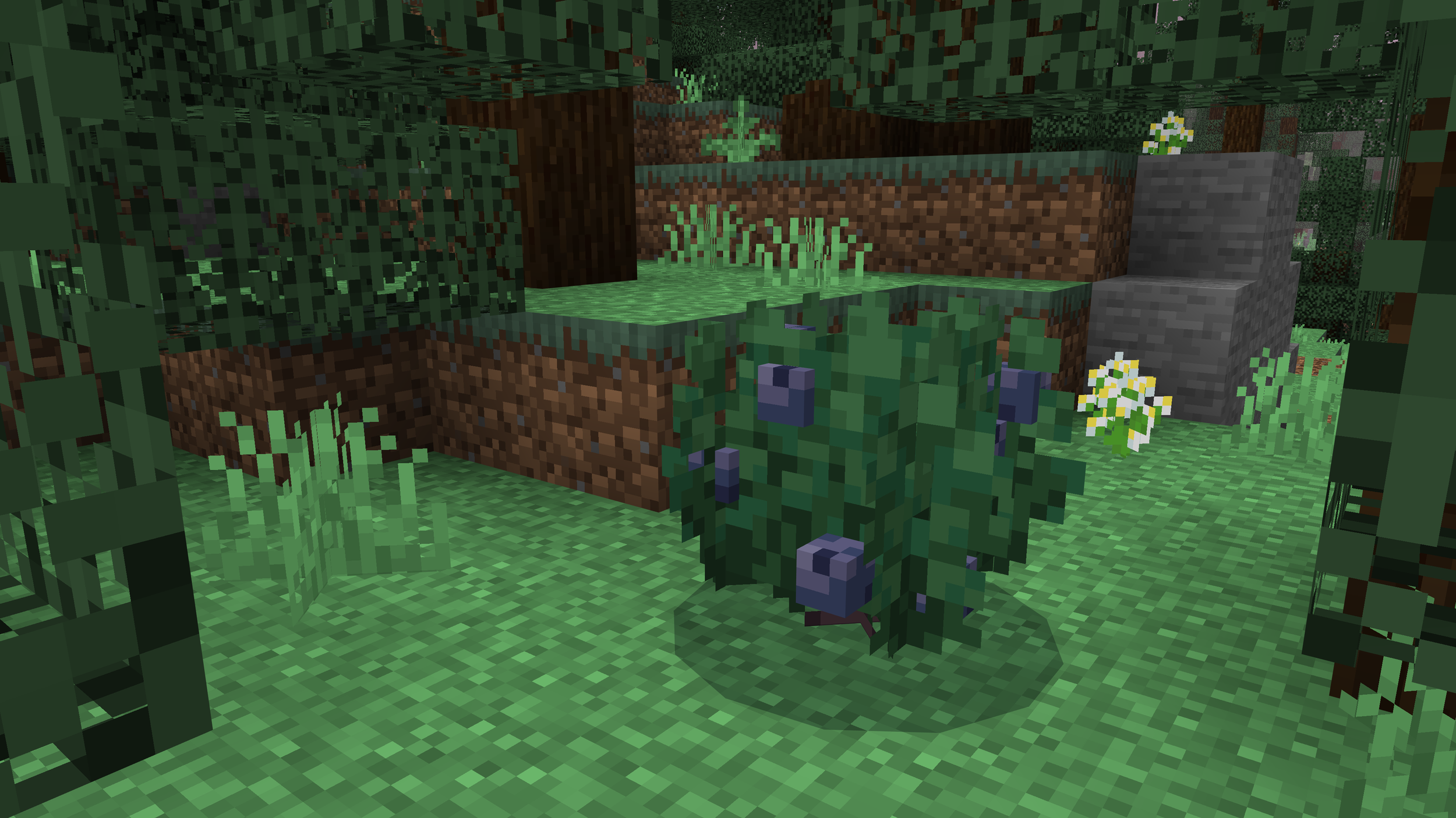 Blueberry Bush.png