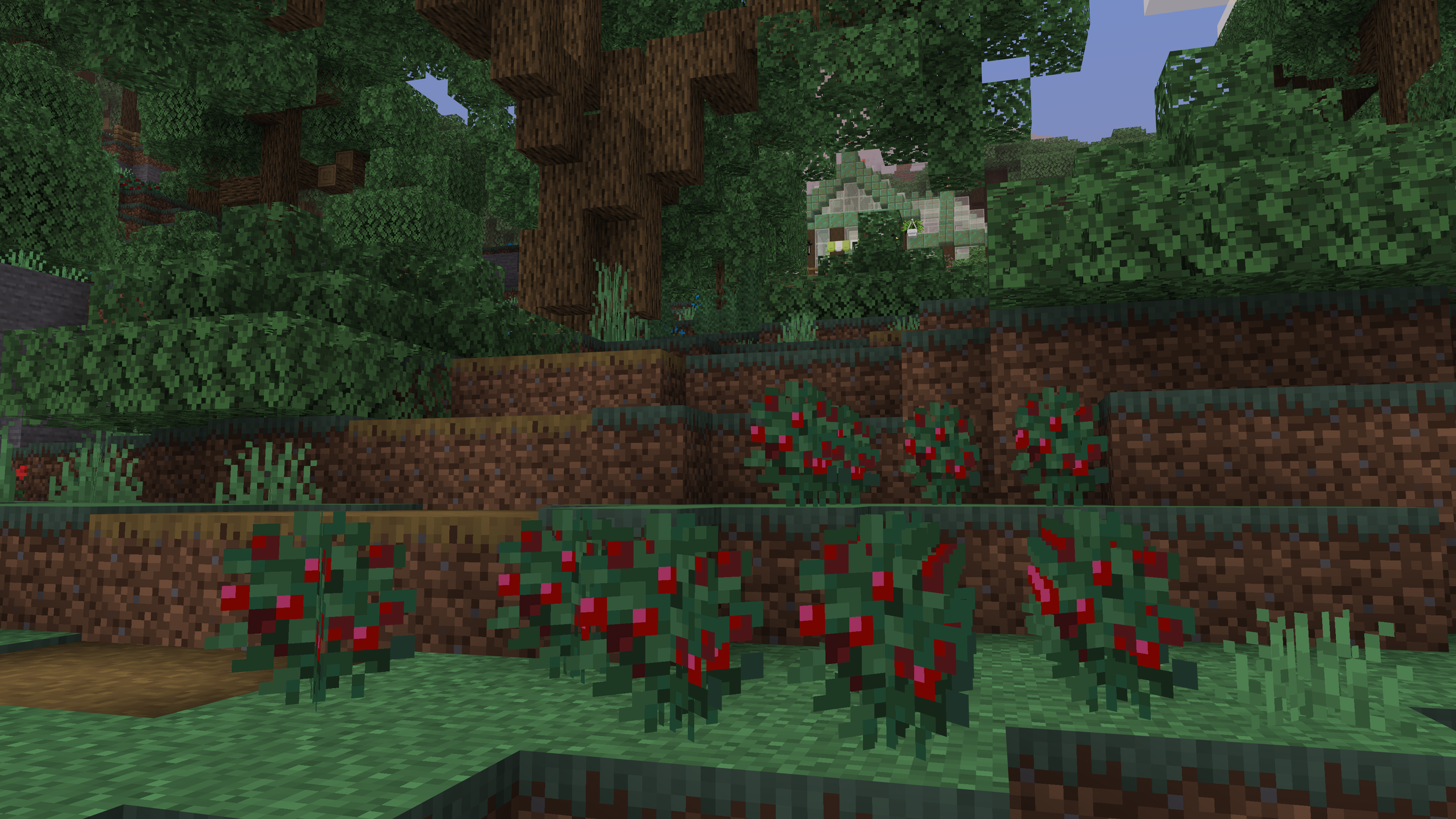 Sweet Berries.png