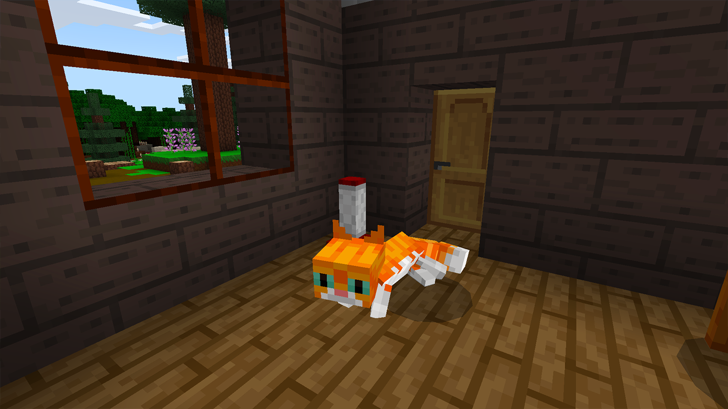 Pets Cat-1.png