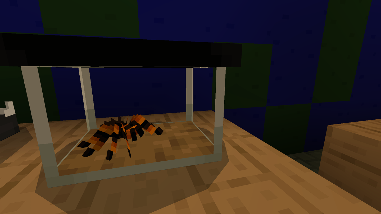 Pets Spider.png