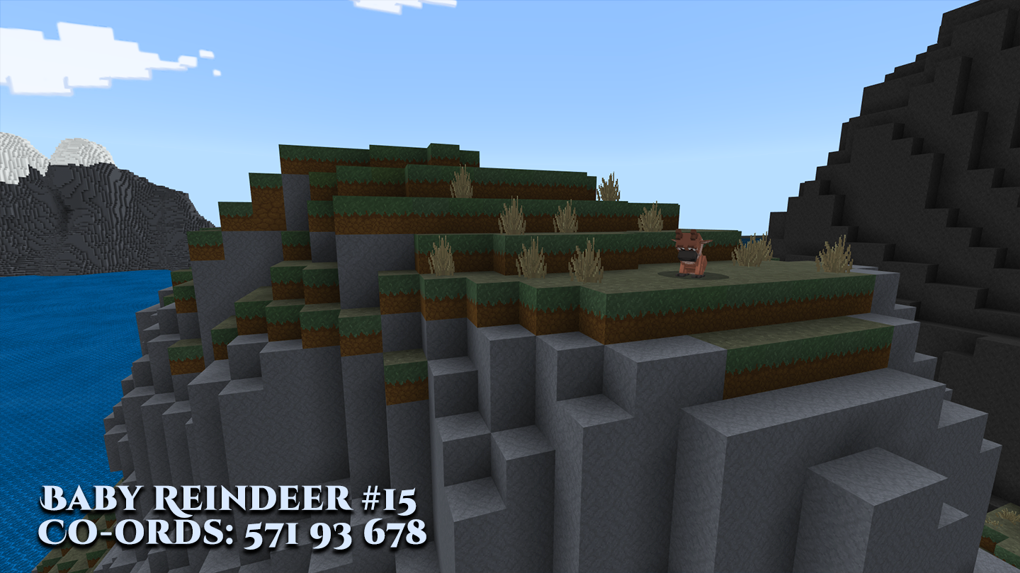 Reindeer-15.png