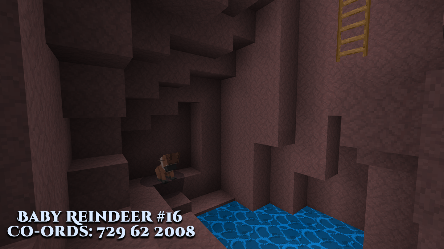 Reindeer-16.png