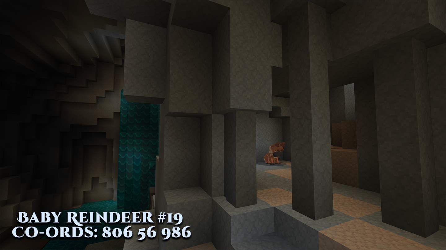 Reindeer-19.png