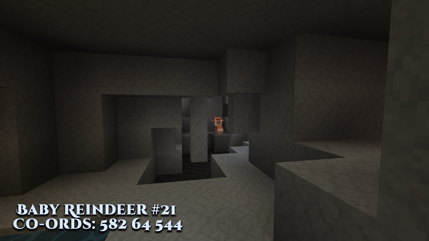 Reindeer-21.png