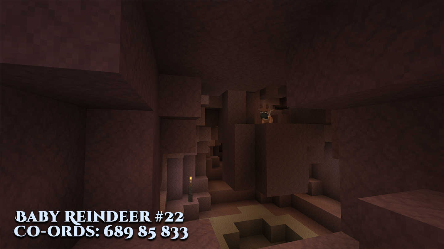 Reindeer-22.png