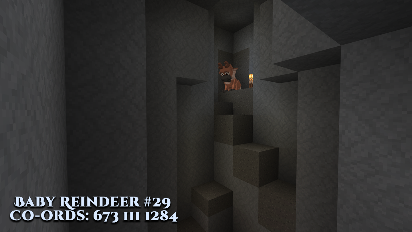 Reindeer-29.png