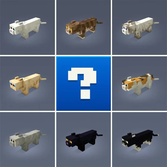 Minecraft Cat Competition!