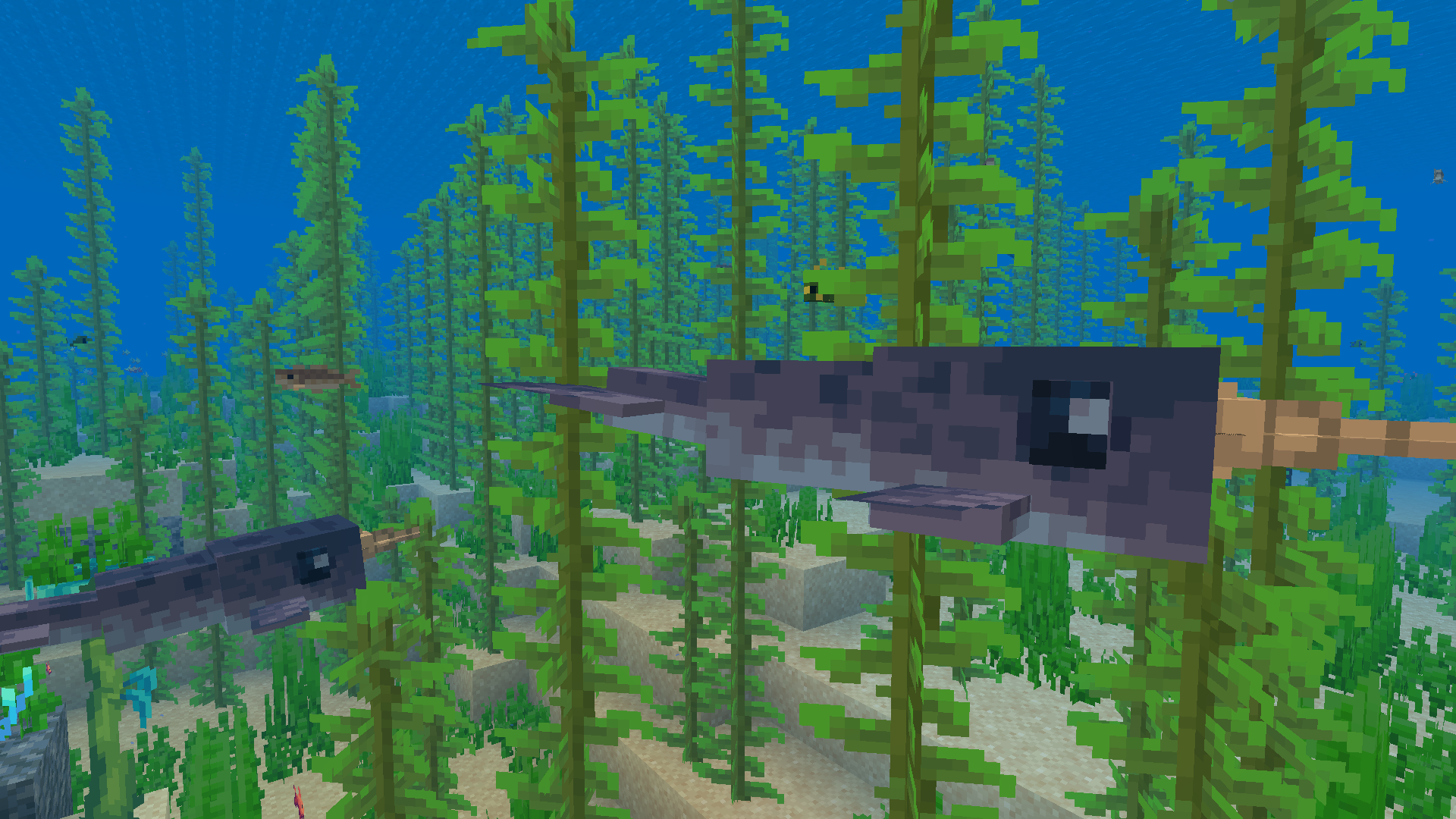 Narwhal.png