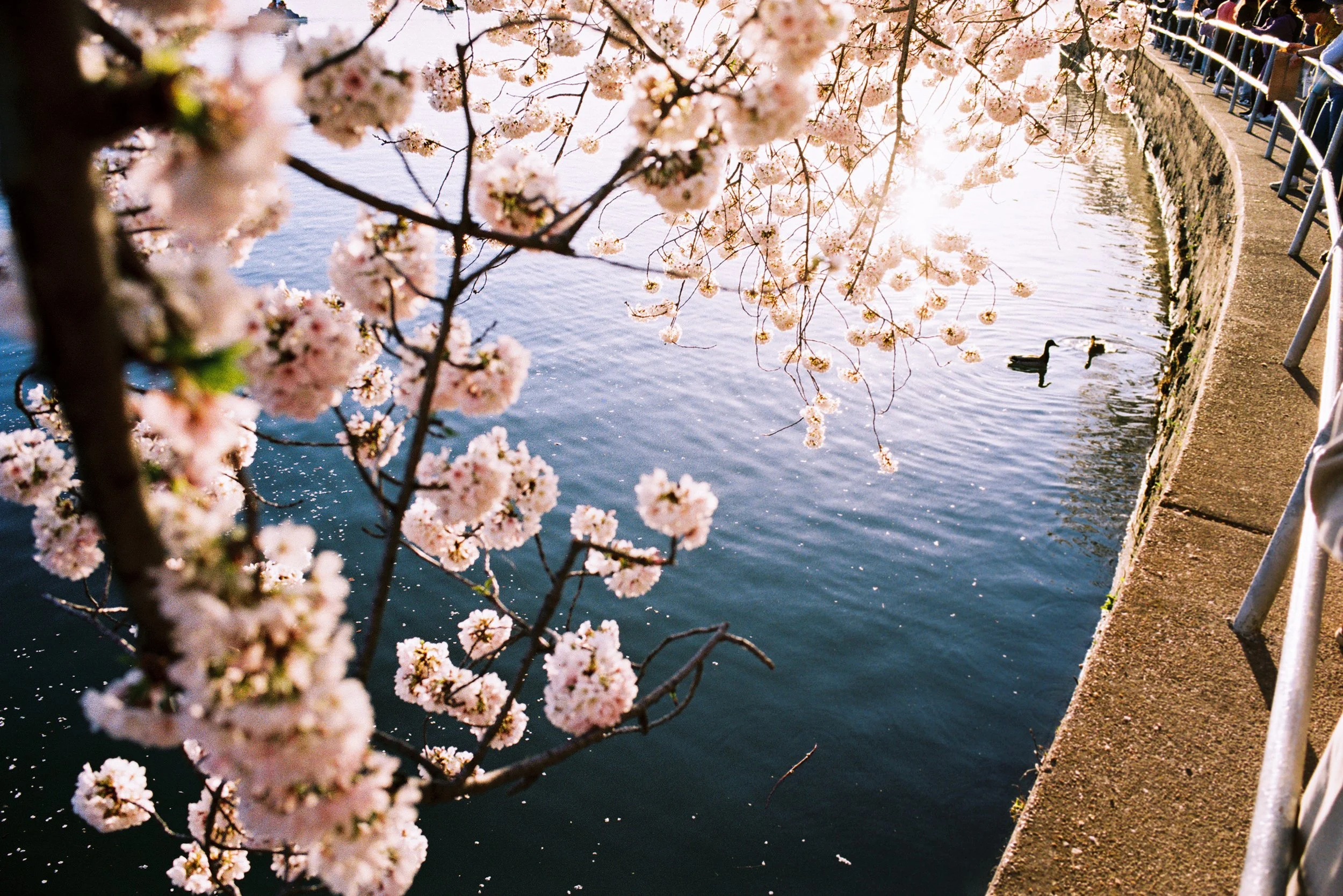 Contact Sheet_BW-167.jpg