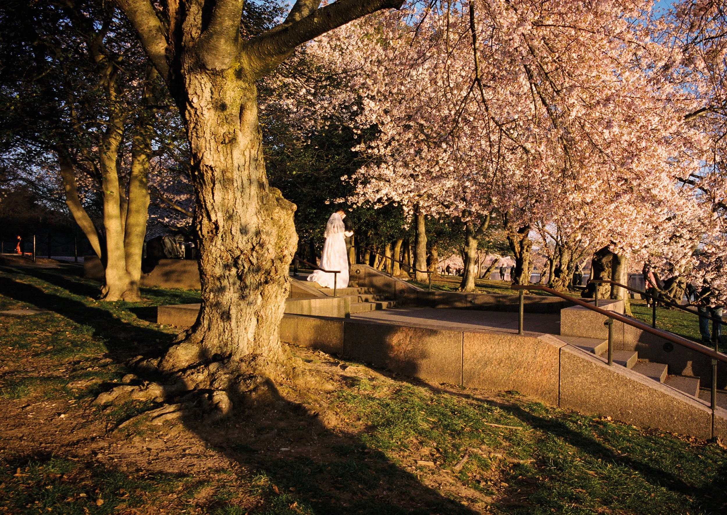 Contact Sheet_BW-164.jpg