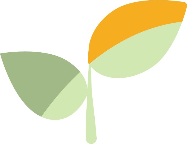 Illustration af en plante med tre blade, hvor to blade er grønne og det øverste blad er orange.