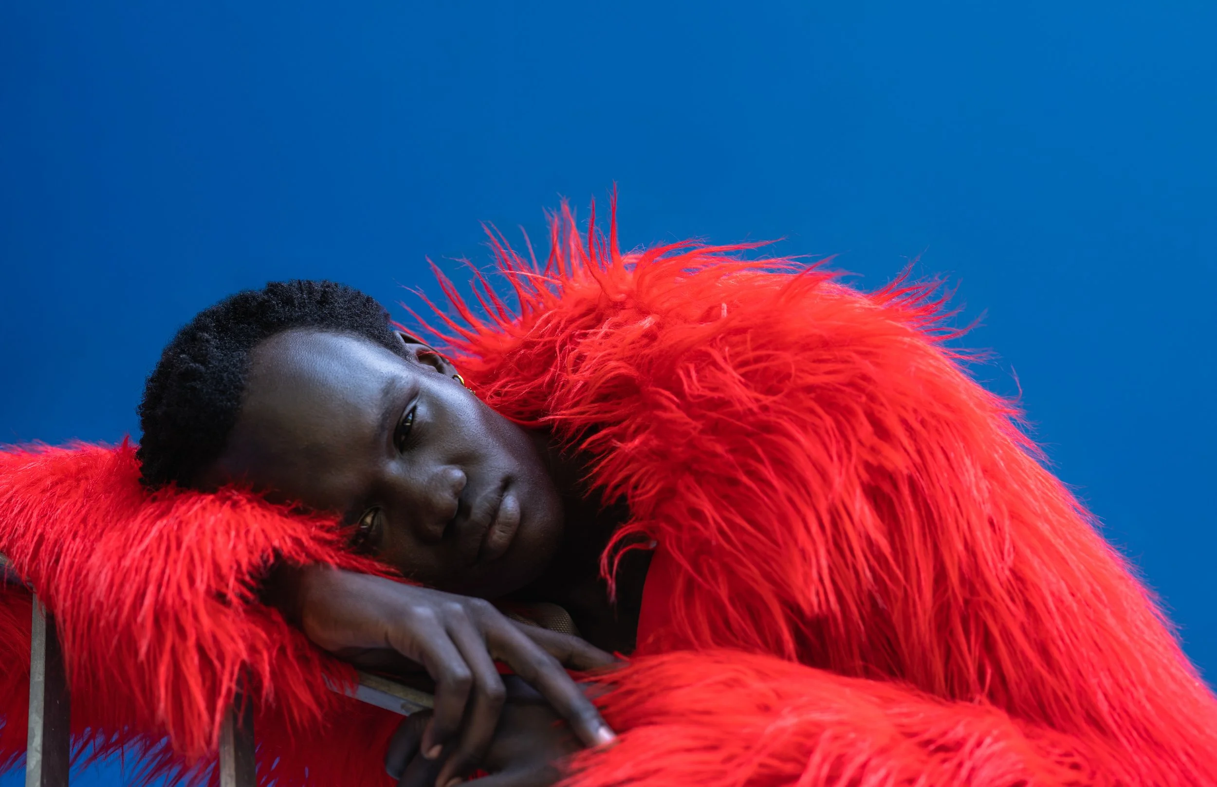 DSC02140-2 copy-3.jpg