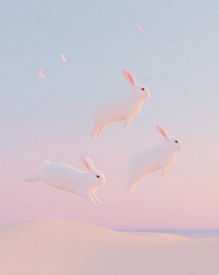 🐇🐇🐇